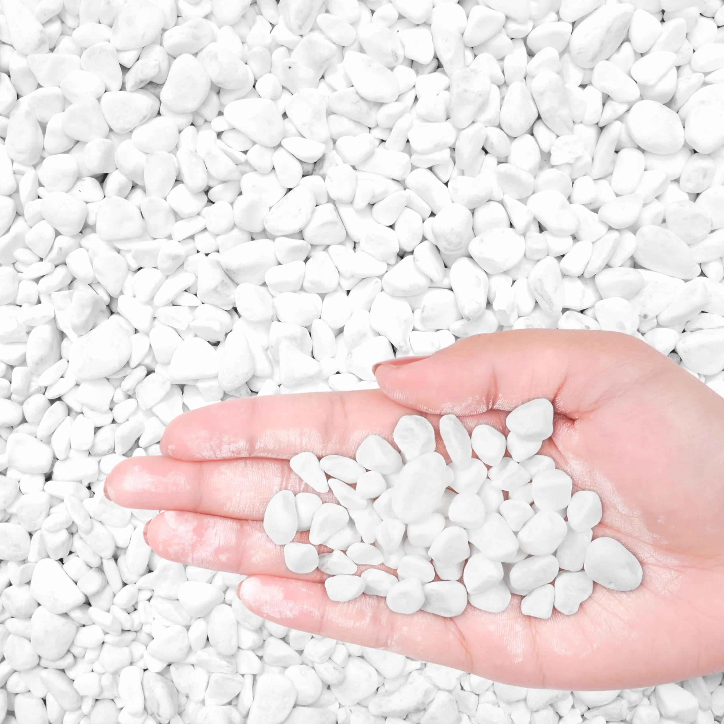 Natural White Stone Decorative Pebbles 1,35 kg - Aquarium, Terrarium, Planter, Vase Filler - Indoor Outdoor Garden Stones
