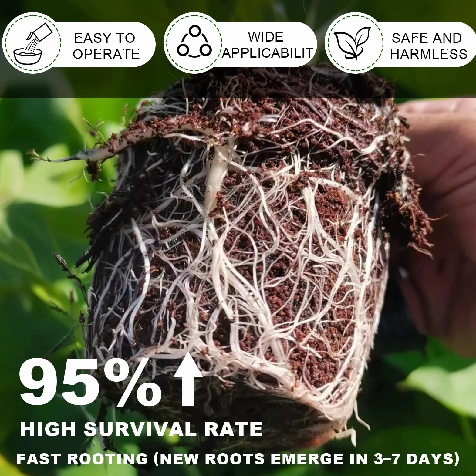 Activador de raíces en polvo rápido revitaliza crecimiento plantas esquejes interior exterior estimulador