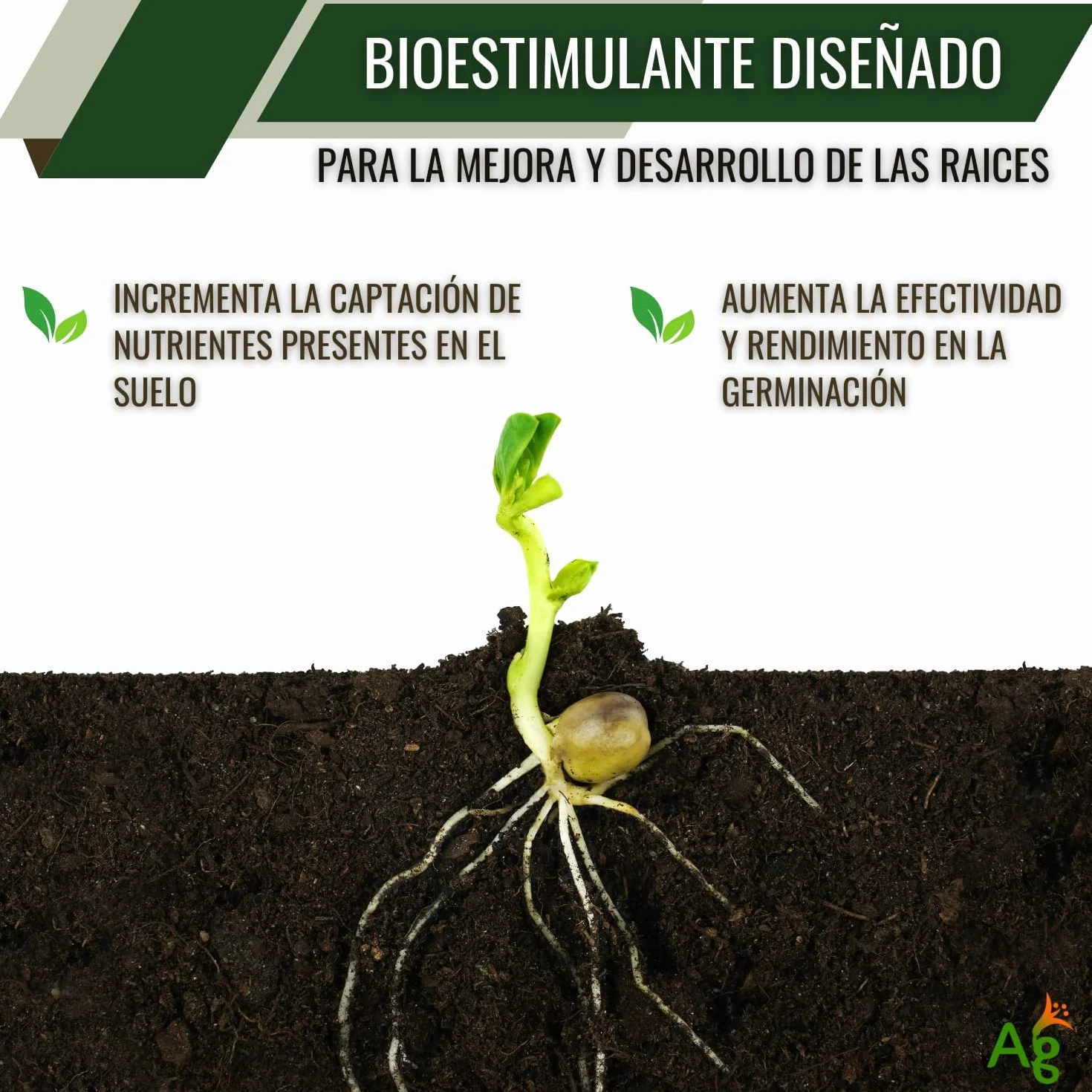 AGROBULL Enraizante Líquido Orgánico con Hormonas Naturales 1 Litro Estimulador de Raíces