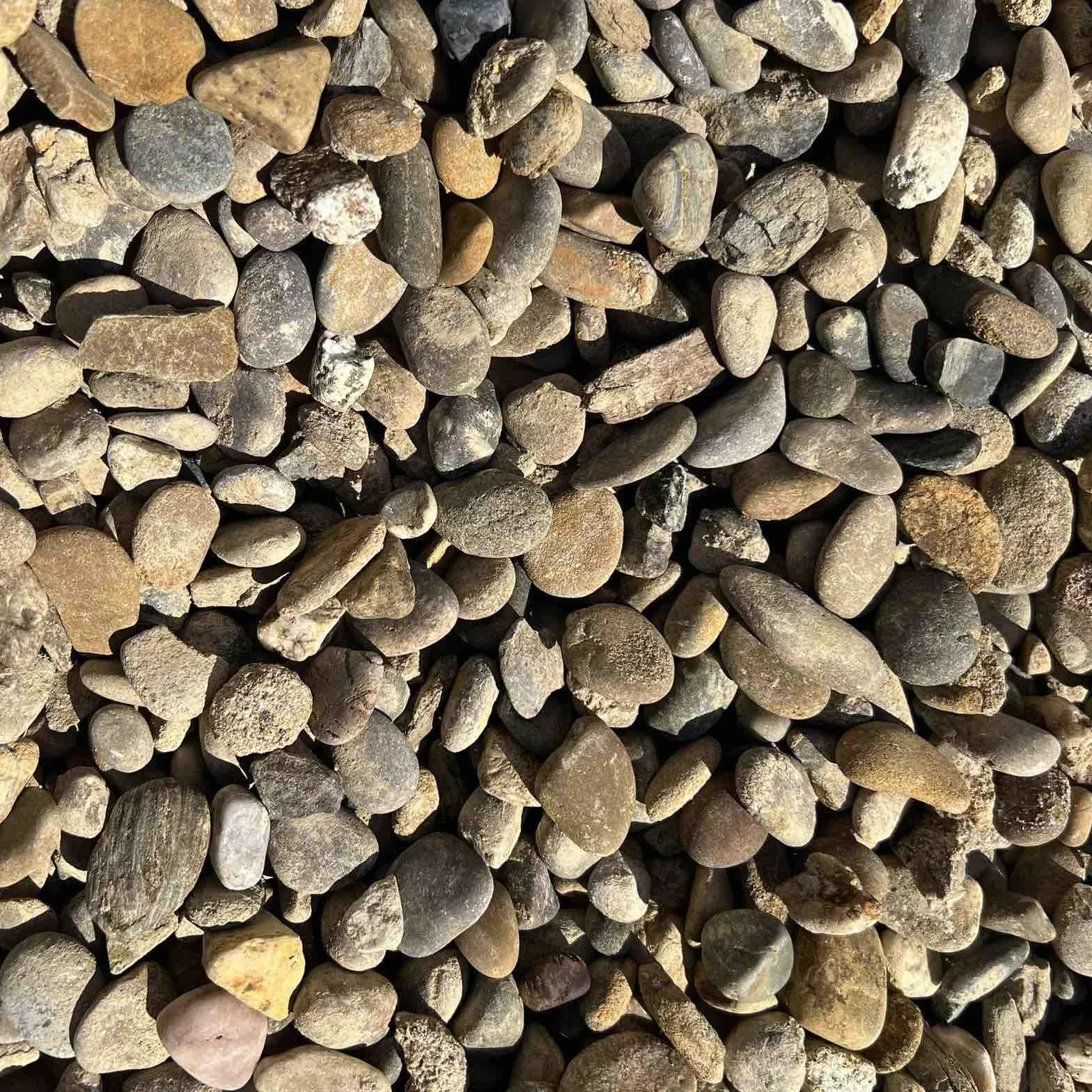Gravilla Canto Rodado Piedra Natural Saco 20 kg Piedra decorativa 12-20 mm