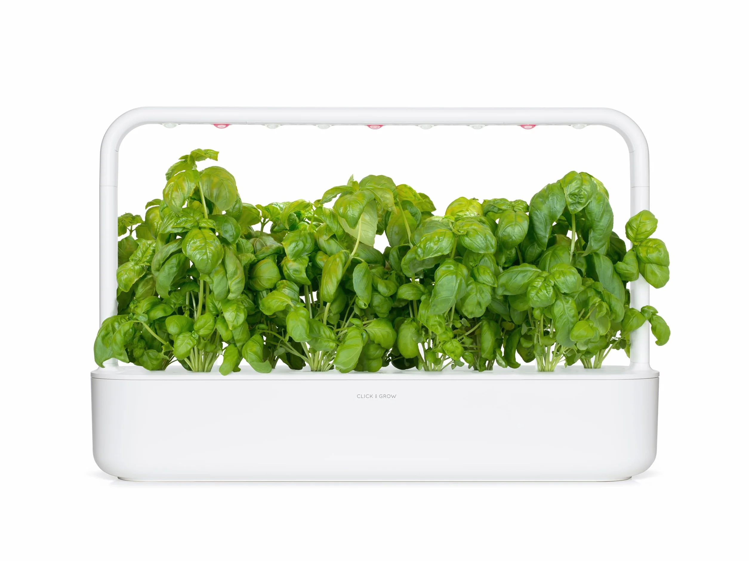 Click & Grow Recambio Cápsulas de Cultivo de Albahaca, Kit de 3 Unidades