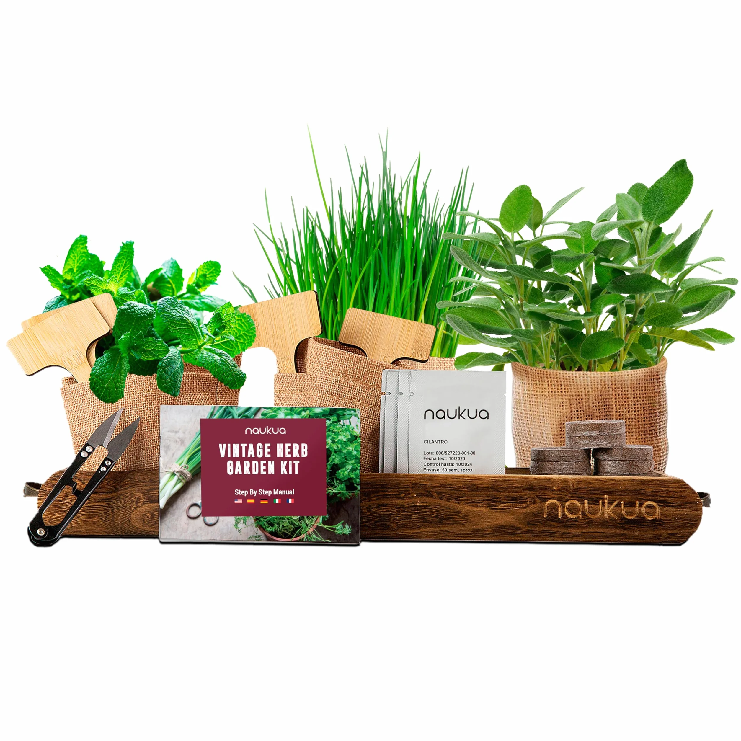 Kit Cultivo Hierbas Aromaticas Cebollino Oregano Menta Salvia Semillas Organicas Huerto Urbano