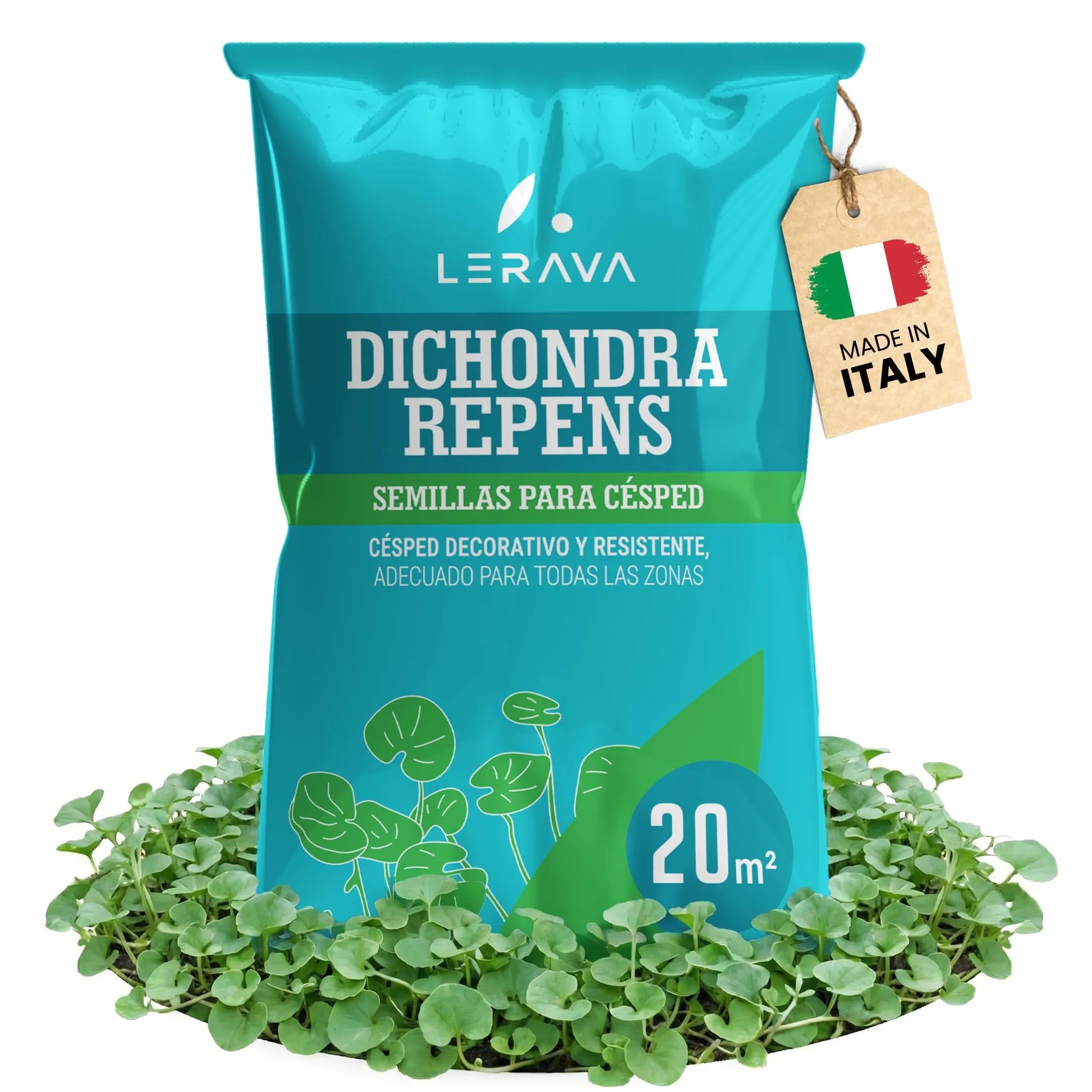 LERAVA Dichondra repens semillas 20m² Resistencia a la sequía 200g