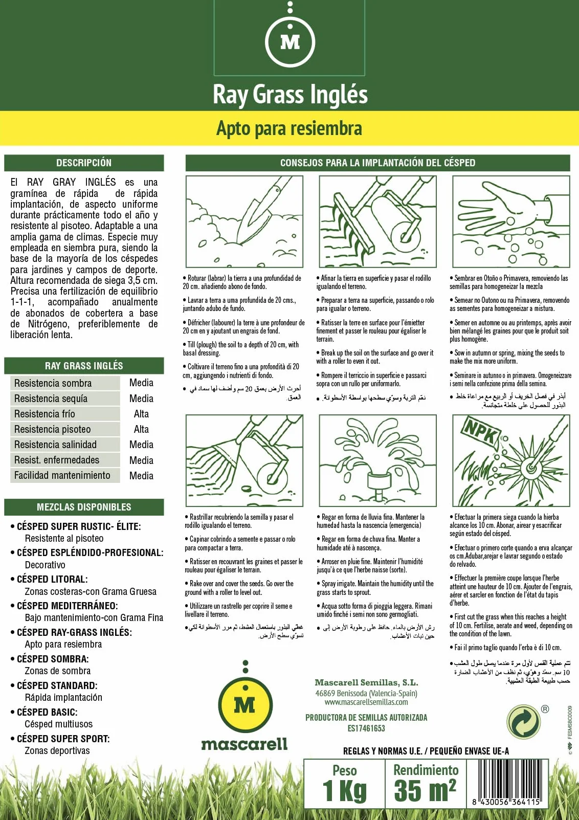 Mascarell Semillas de Césped Ray-Grass Inglés Lolium Perenne 1kg Rápida Implantación Resistencia al Frío