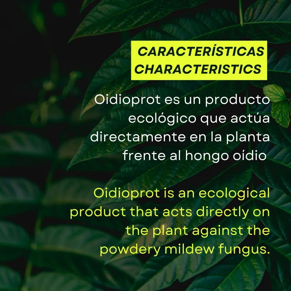 OIDIOPROT de Prot-eco Fungicida Antioidio Curativo Preventivo para Cultivos
