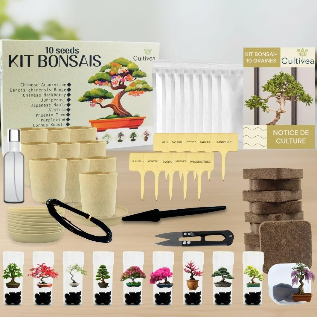 CULTIVEA® Kit 10 Bonsáis para Cultivar – Kit Cultivo Bonsái Completo con Semillas, Macetas y Herramientas
