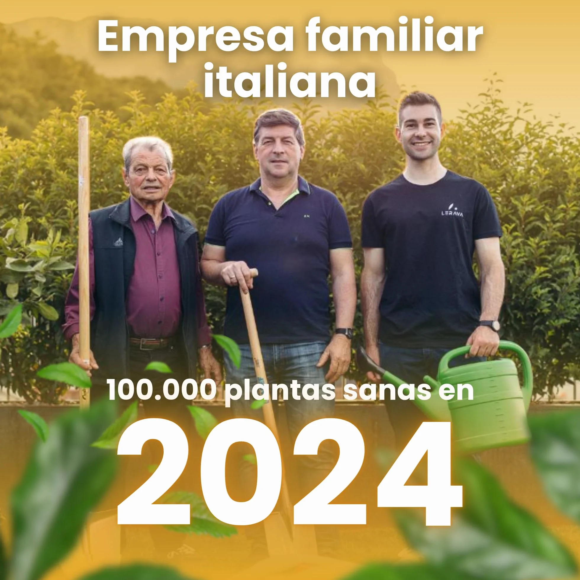 LERAVA Abono cítricos 800g Fertilizante orgánico para cítricos