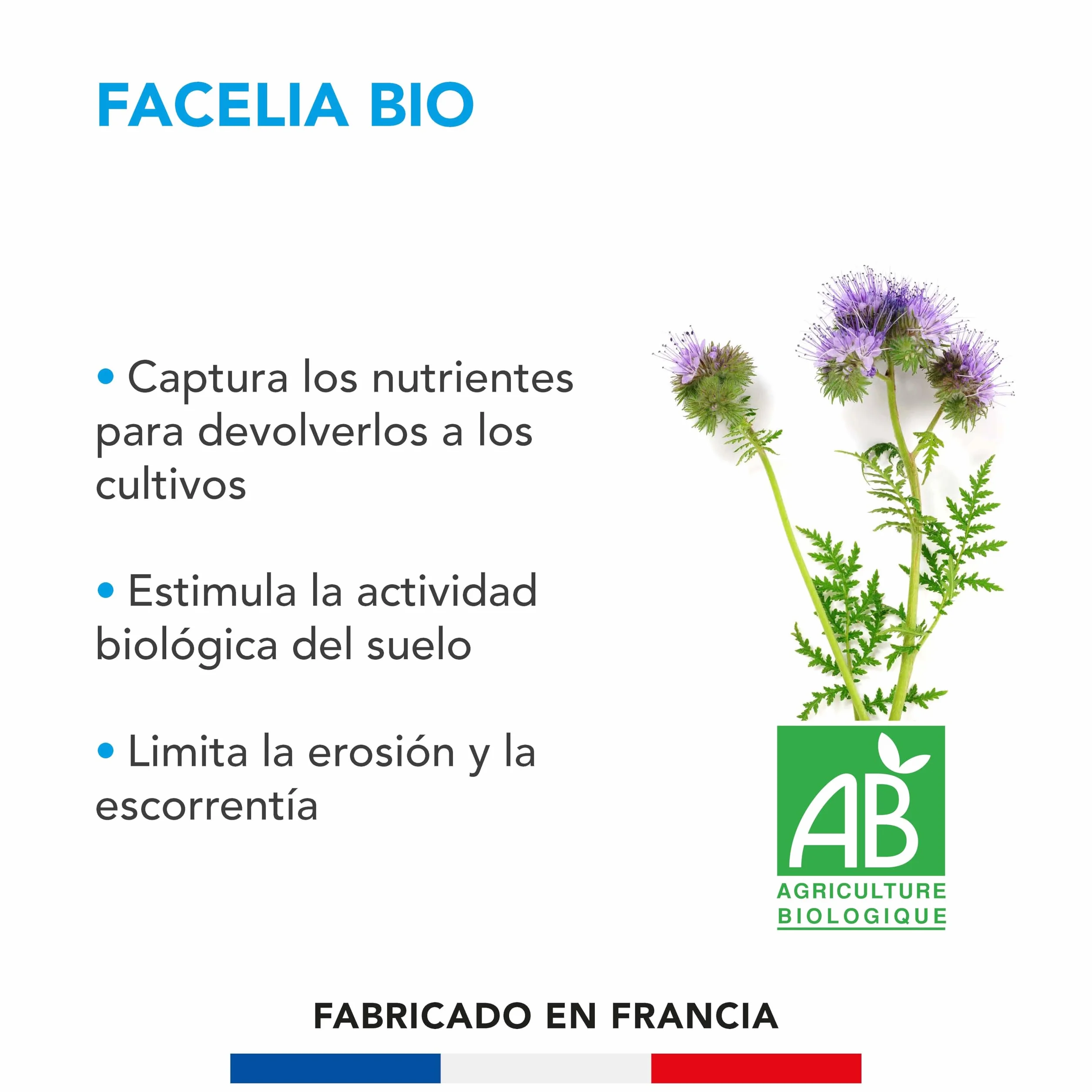 BARENBRUG Facelia BIO Captura Nutrientes 250 g