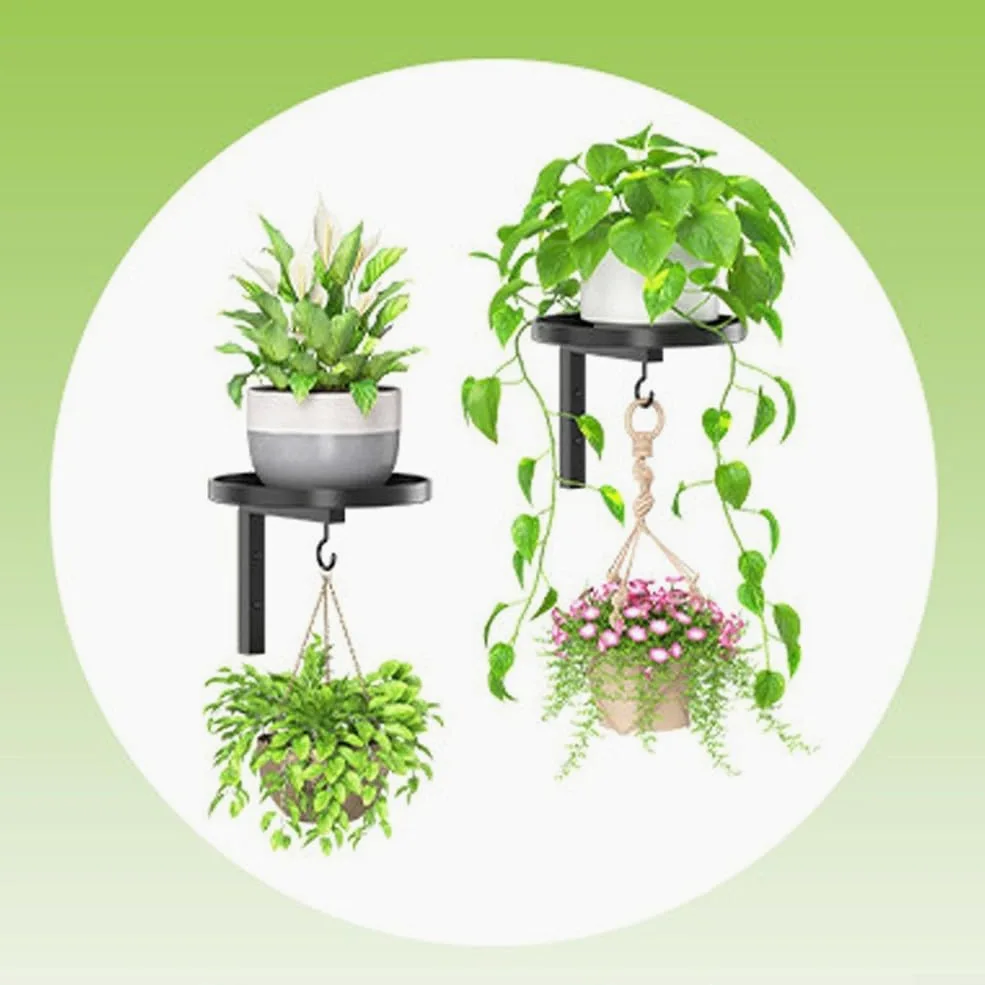 Colgador de pared para plantas, paquete de 2 soportes para macetas para interiores y exteriores, jardín, resistente, resistente al agua, diseño de borde elevado, instalación de decoración moderna