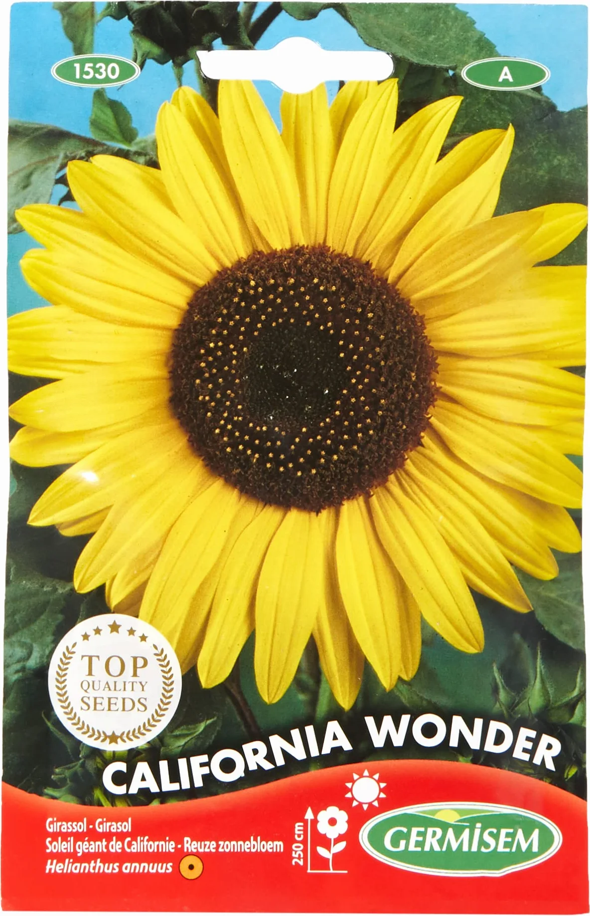 Germisem California Wonder Semillas de Girasol 4 g