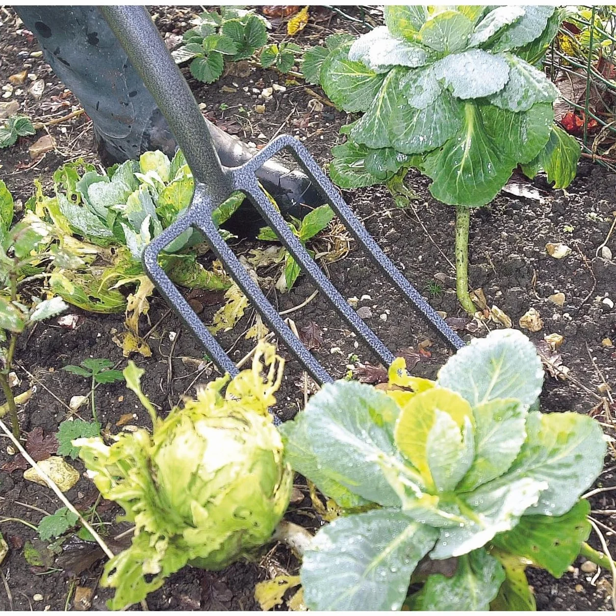Draper Horquilla para jardinería Acero