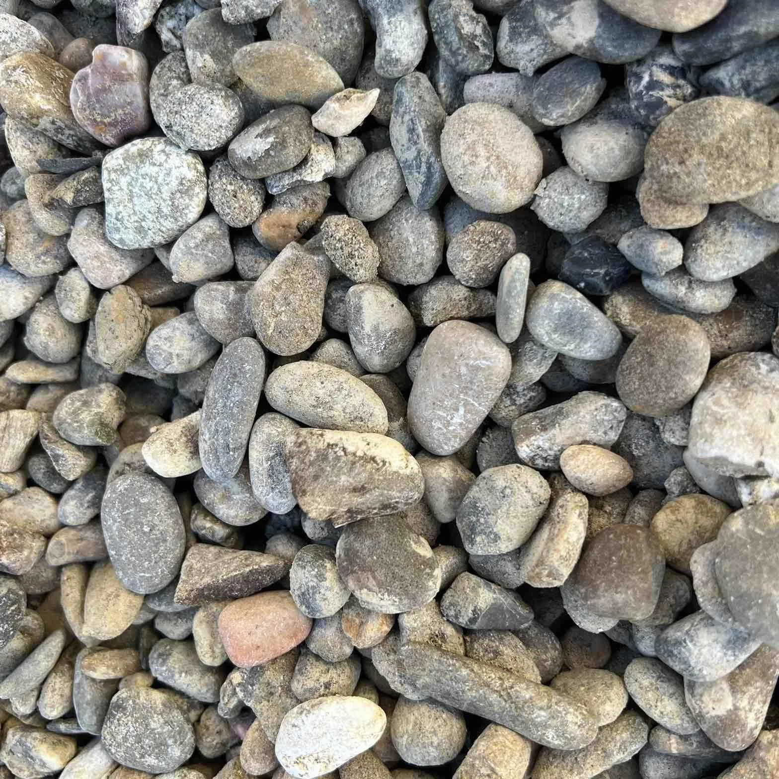 Gravilla Canto Rodado Piedra Natural Saco 20 kg Piedra decorativa 12-20 mm