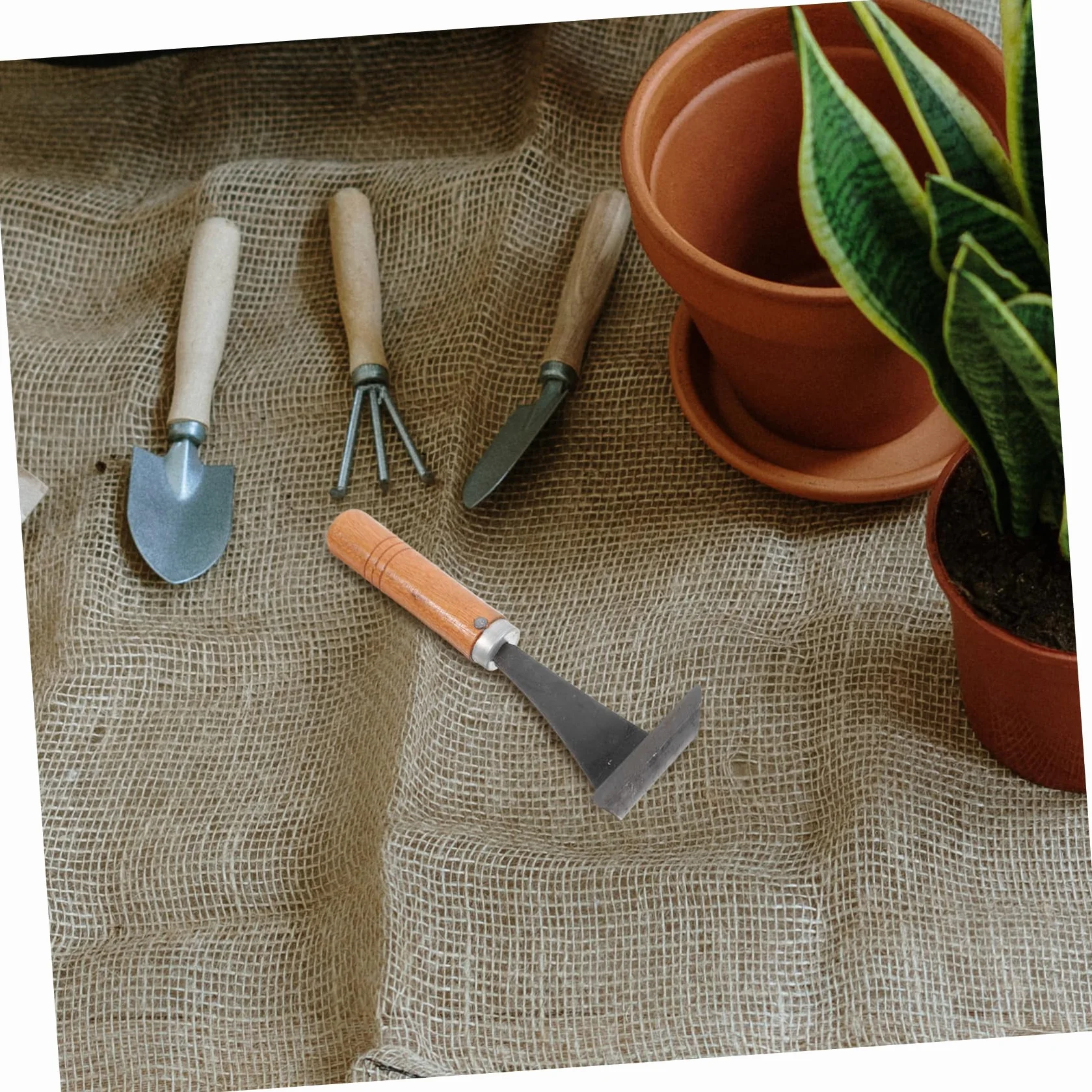 Kisangel Raspador de Corteza de Árbol de Acero Mango Ergonómico de Madera, Herramienta Práctica para Cortar Corteza y Uso en Deshierbe y Plantación de Verduras