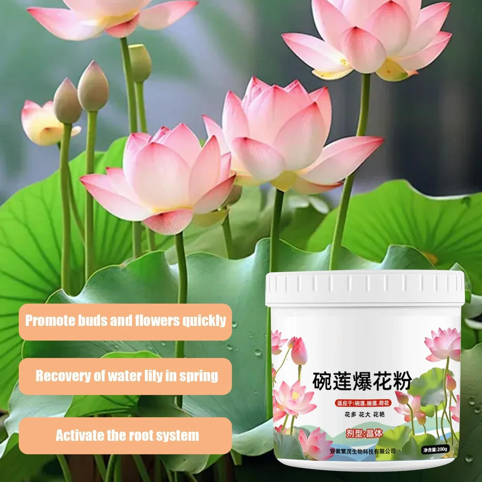 Fertilizante De Nenúfar: Pastillas De Raíz De Nenúfar, Potenciador De Flores Para Un Crecimiento Saludable | Alimento Eficaz Para Plantas De Acuarios Y Estanques, Fertilizante Para Plantas Acuáticas P