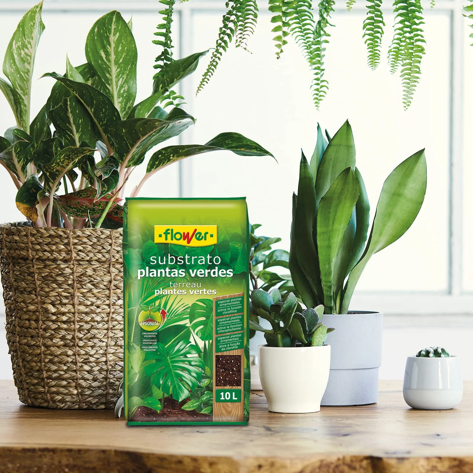 Sustrato Plantas Verdes 10 L con Perlita, Magnesio y Compost Vegetal para Interior y Exterior