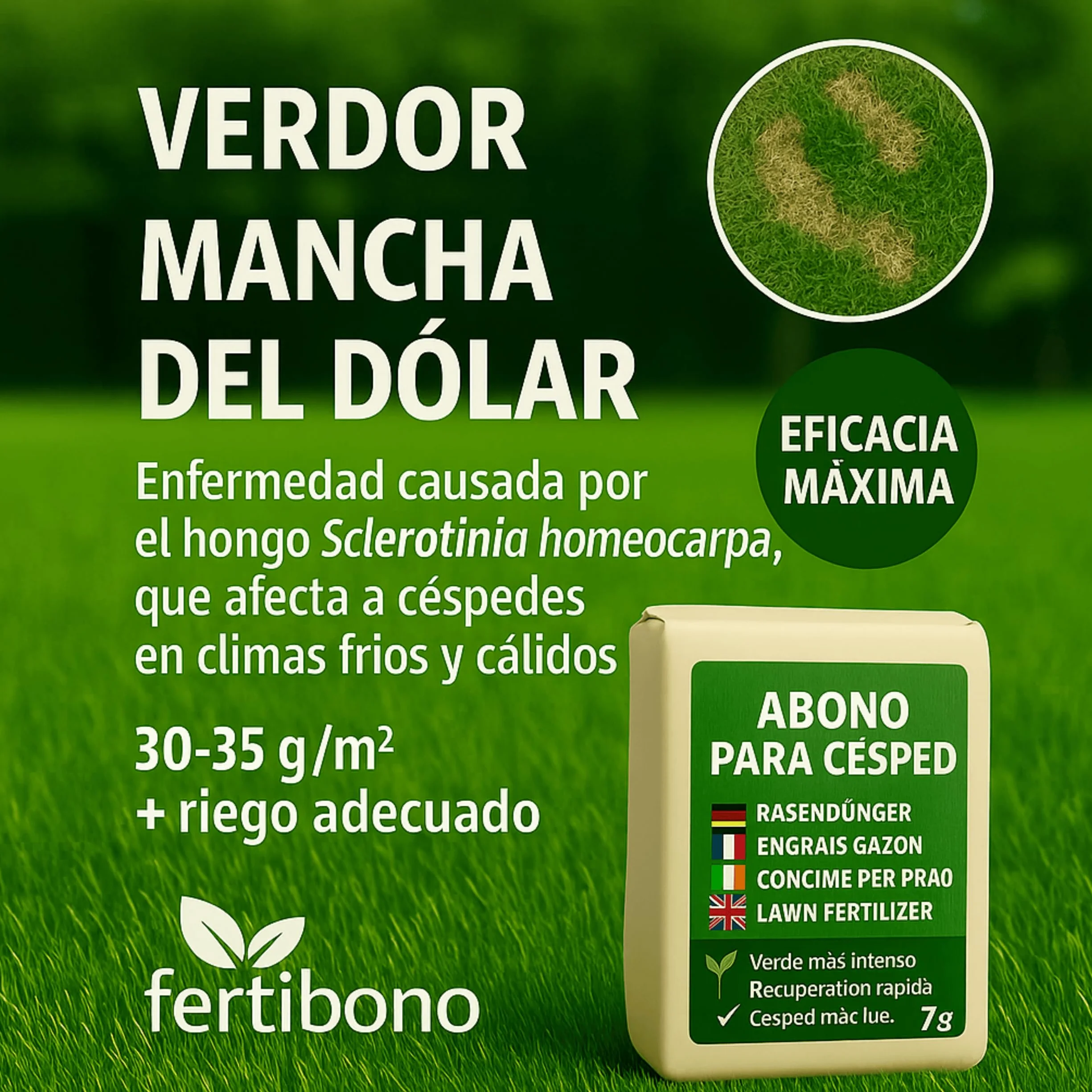 FERTIBONO Abono Césped 7kg NPK Magnesio Hierro Manganeso Azufre Hasta 280 m2
