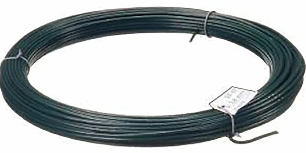 Format 4317784013871 - Spanndraht grñn 3.8 mm a 110 m