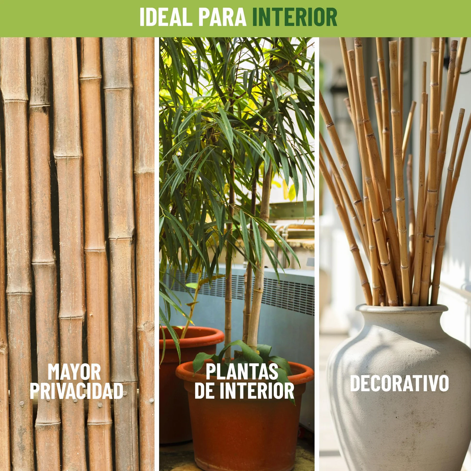 Control Garden Pack 30 Unidades Tutor de Bambú Ecológico 180 cm Estaca Natural Caña Sujetar Plantas ø 10-12