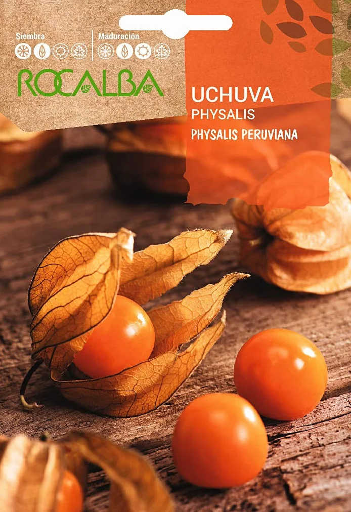 Semilla Uchuva (Phisalis Peruviana)