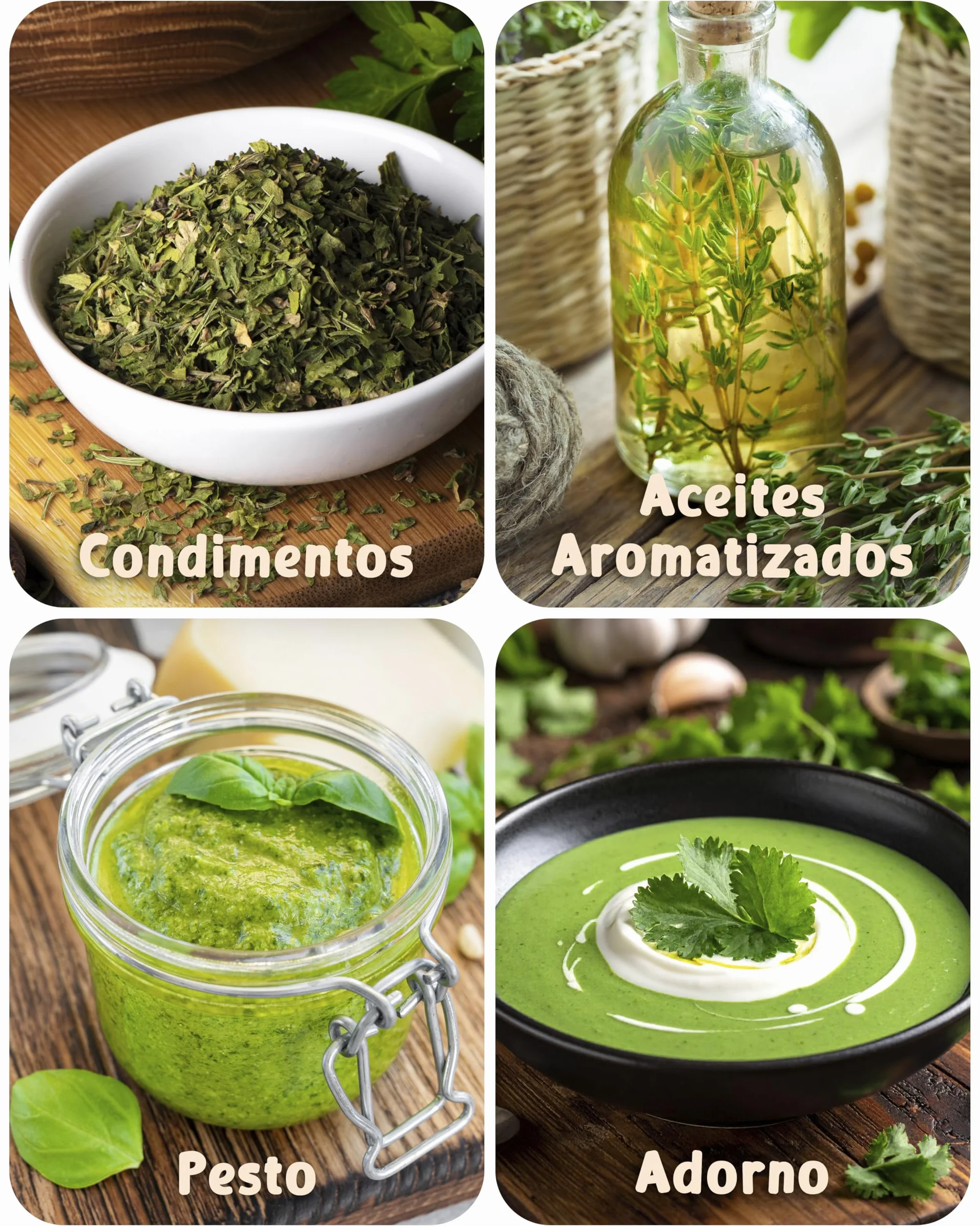 Set de semillas de hierbas aromáticas eco 25 variedades ZenGreens®