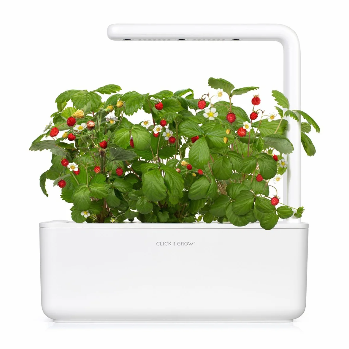 Click & Grow Recambio Cápsulas de Fresas Silvestres Kit de 9 Cápsulas