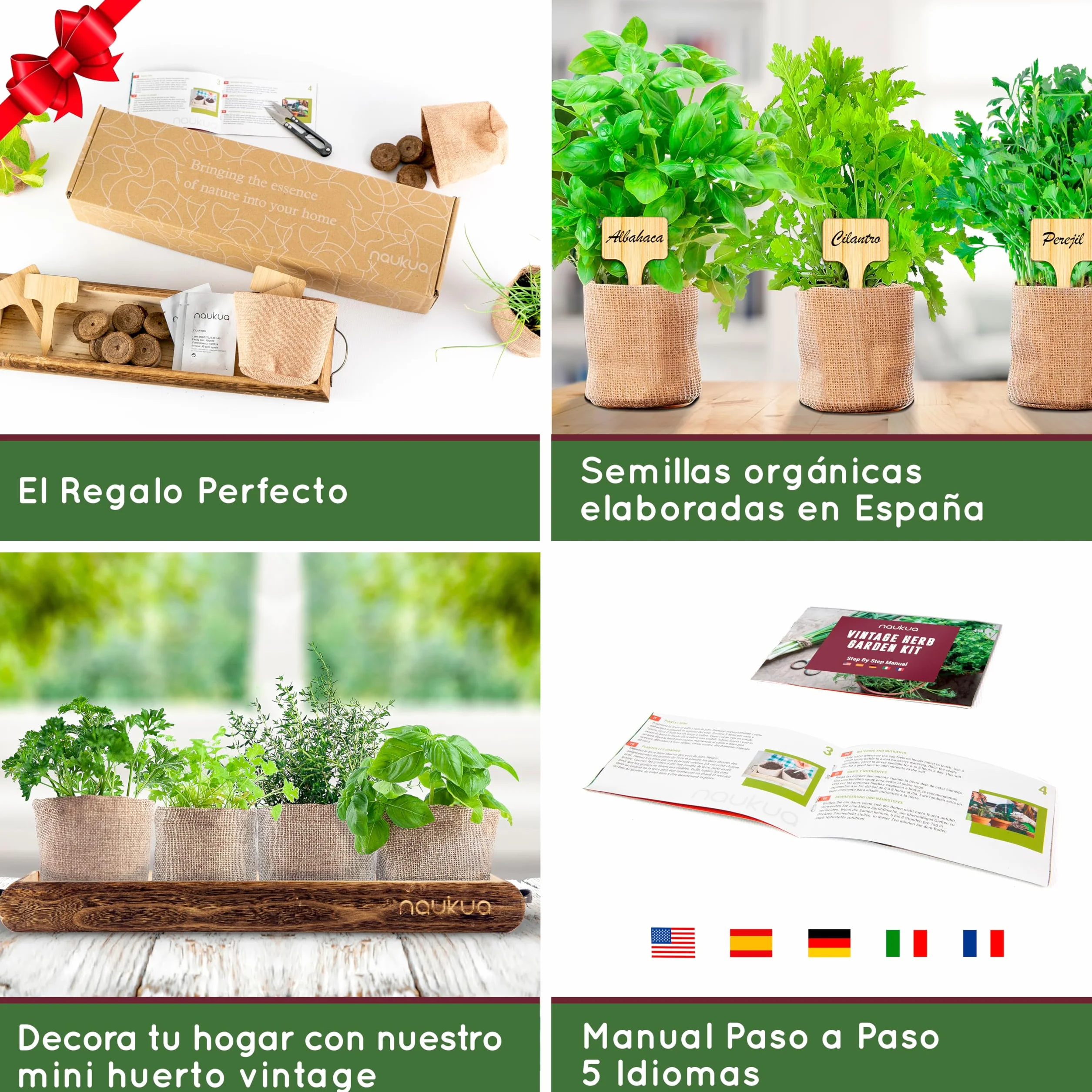 Mini Huerto Urbano Vintage Semillas Orgánicas España Kit Completo Hierbas Aromáticas Culinarias Tomillo Albahaca Perejil Cilantro