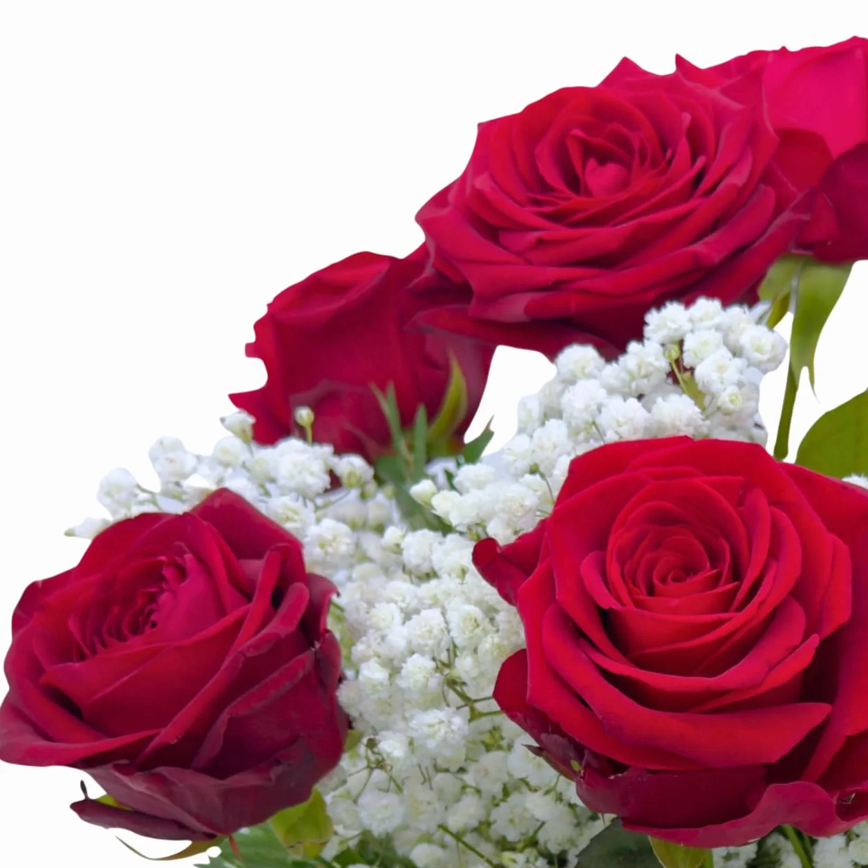Ramo de Flores Naturales y Frescas 6 Rosas Rojas con Paniculata