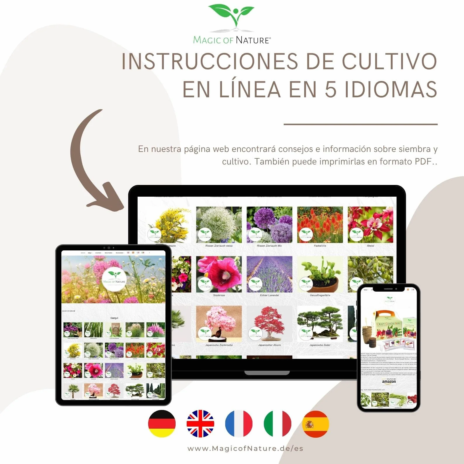 Semillas Limonero Mini 10 Uds Bonsái Planta Interior Perenne Maceta