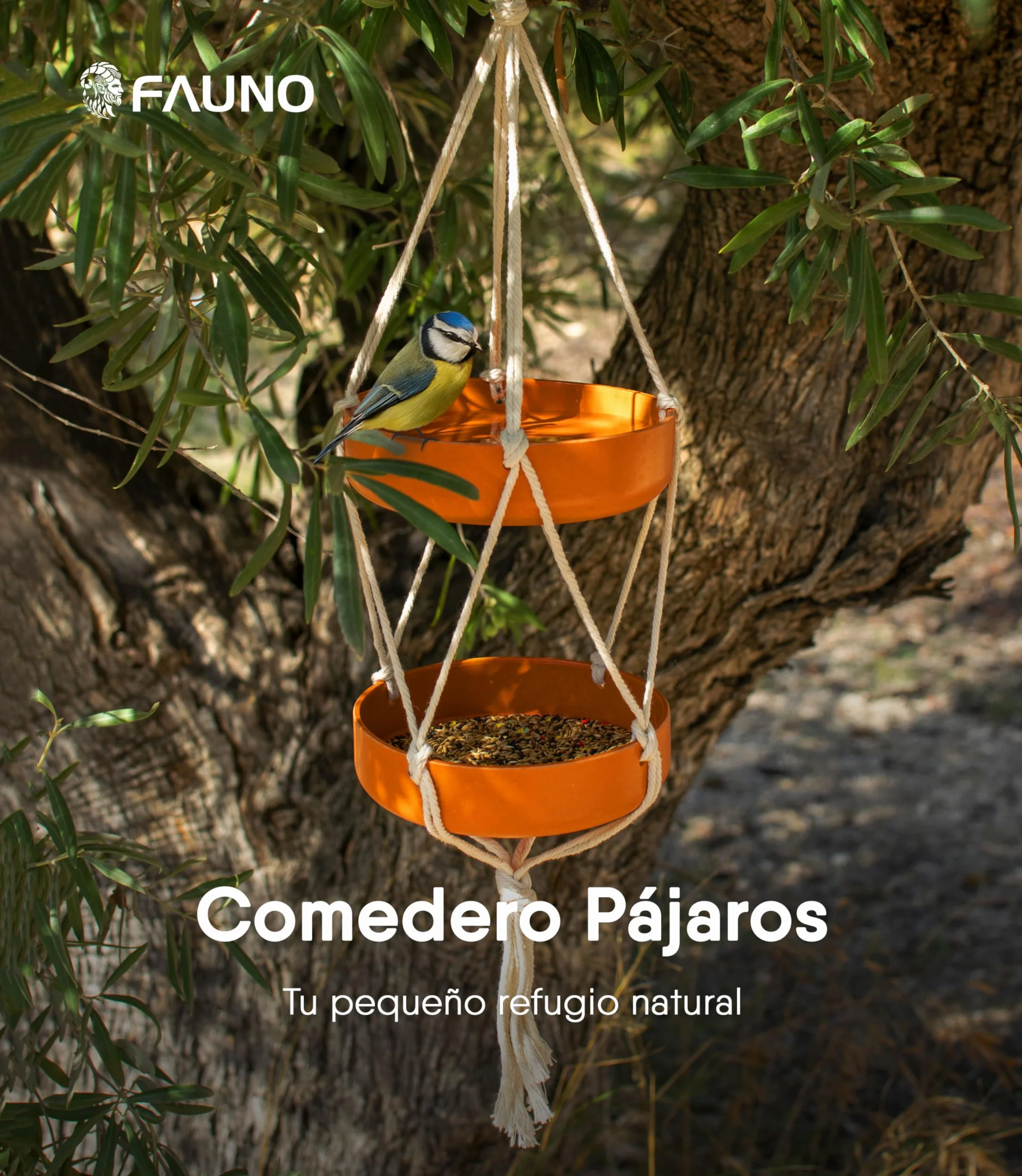 Comedero Pájaros Exterior Colgante Doble Bandeja Fibra Bambú Cuerda Algodón Bebedero Jardín Balcón Terraza Alimentación Aves Silvestres Resistente