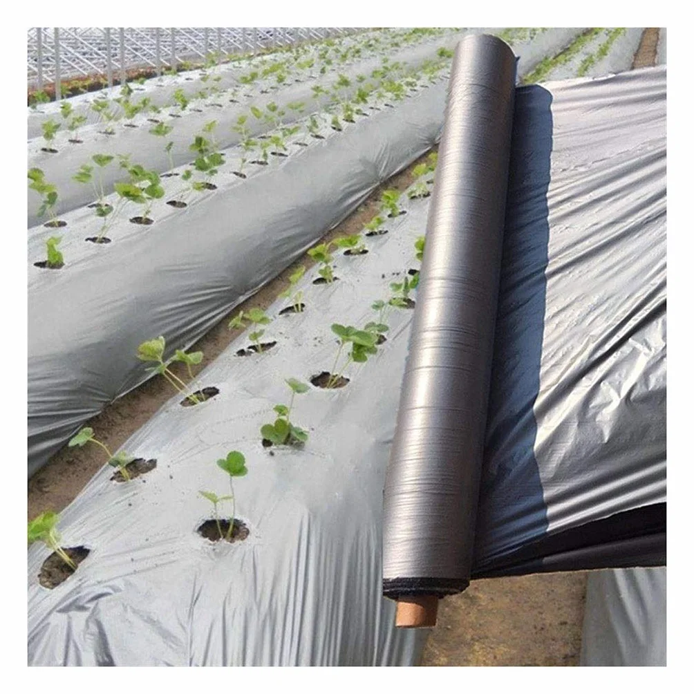 Dimo 1pcs 50m 0.012mm Huerto Árbol frutal Película plástica plateada-negra, Invernadero de jardín Control de malezas reflectante Película de mantillo negra plateada(Width 800mm)