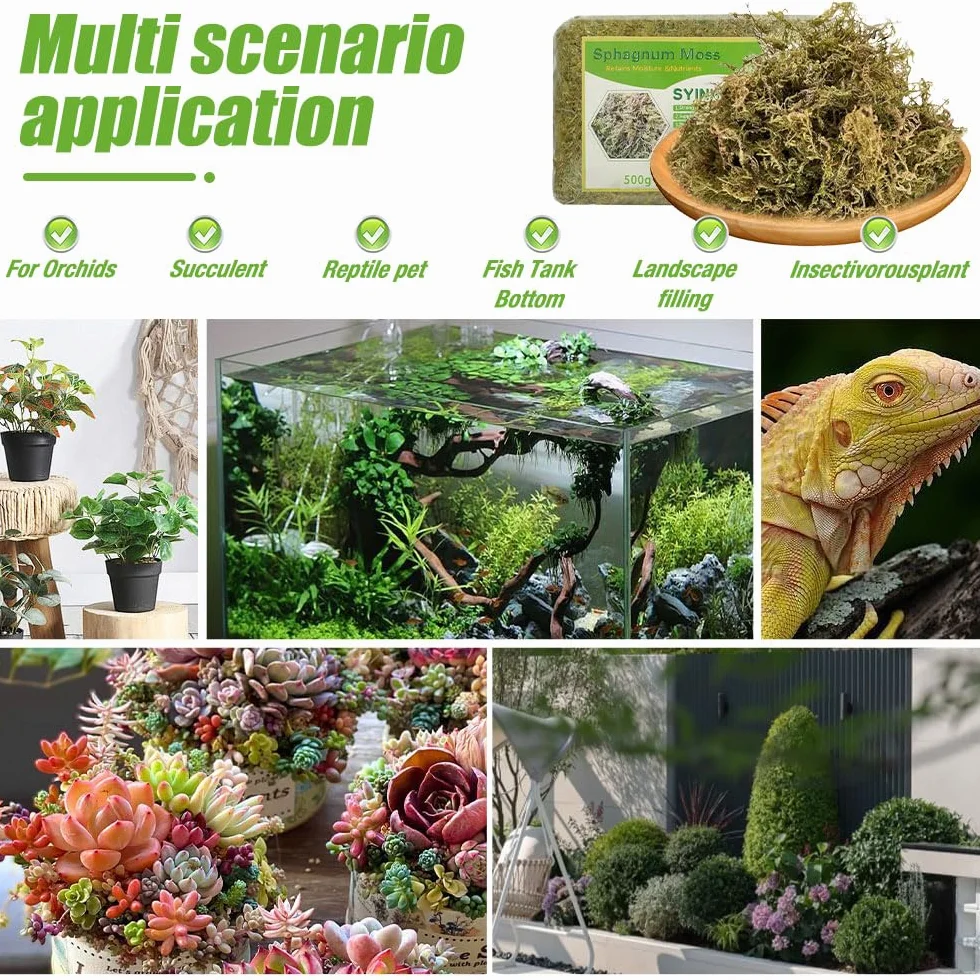 Musgo Sphagnum para Orquídeas 500g, Sphagnum Moss Sustrato, Enmienda Suelo Jardinería Plantas Carnívoras