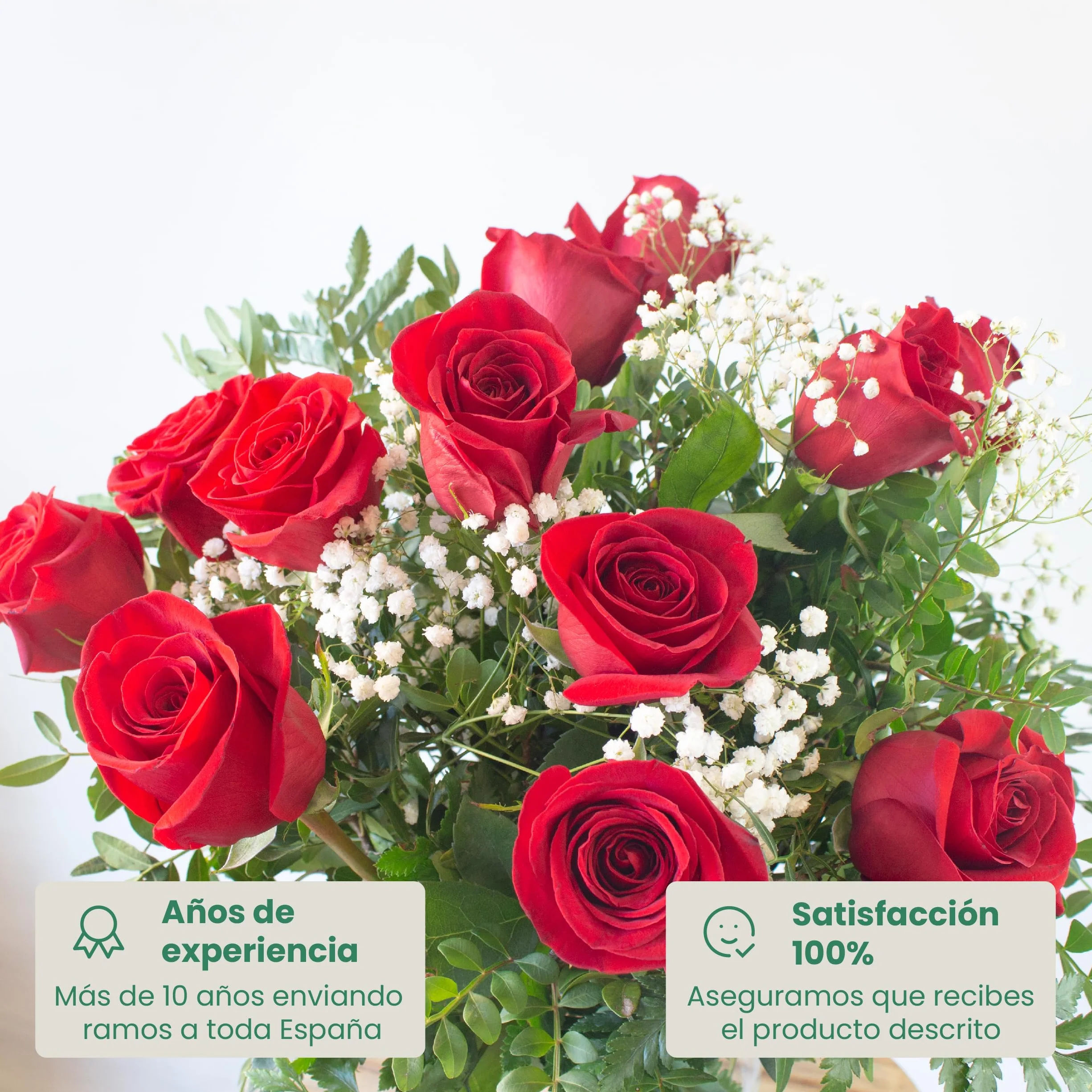 Acurrucalas® Ramo de Flores Rosas Rojas con Dedicatoria 12 Flores Frescas Naturales