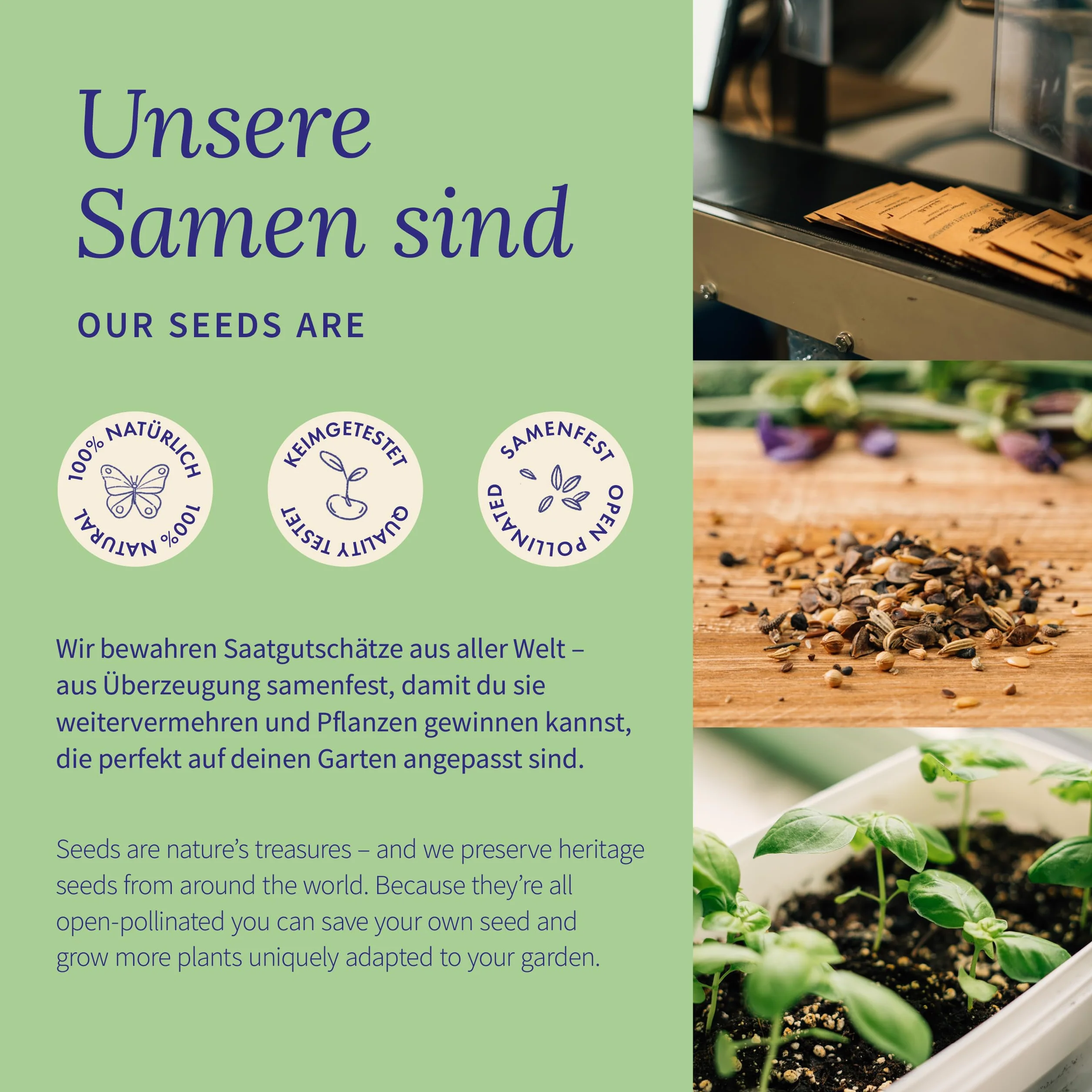 Magic Garden Seeds Maceta de hierbas mini jardín de hierbas balcón cocina caja semillas 9 hierbas aromáticas