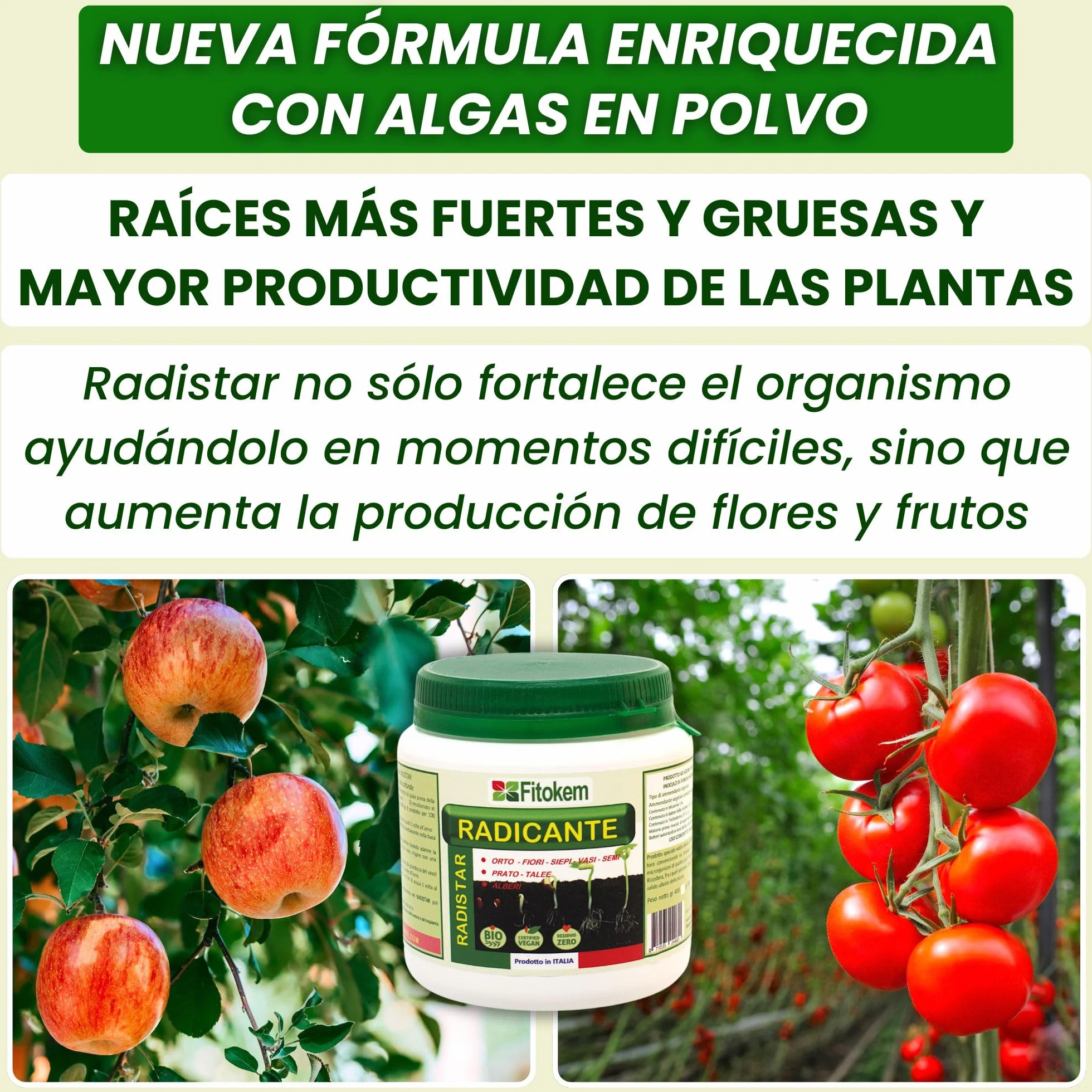 FITOKEM Radistar Hormonas de Enraizamiento en Polvo 800 gr Enraizante para Esquejes Fortalecedor de Raices