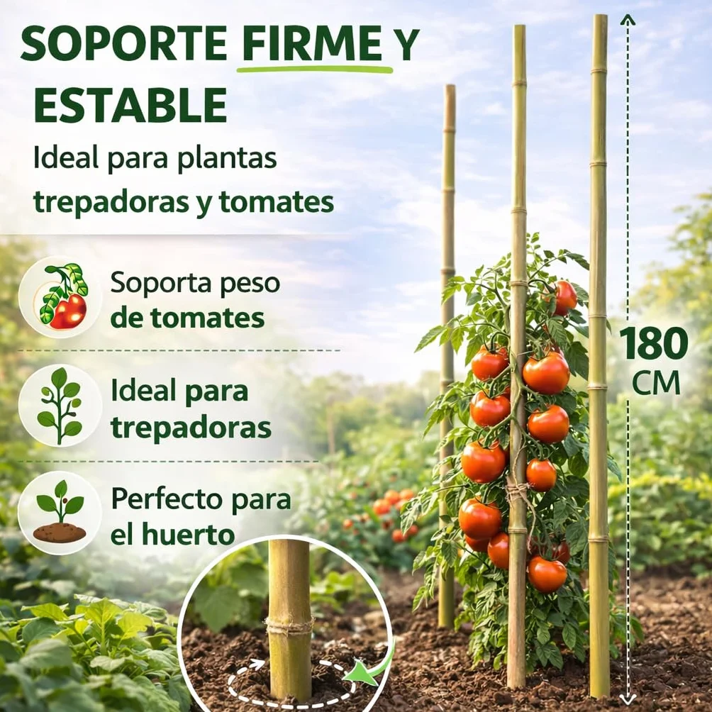 Tutores de Bambú 180 cm Ø14-16 mm para Plantas Tomateras, Cañas Estacas para Tomates, Huerto y Cultivos Verticales