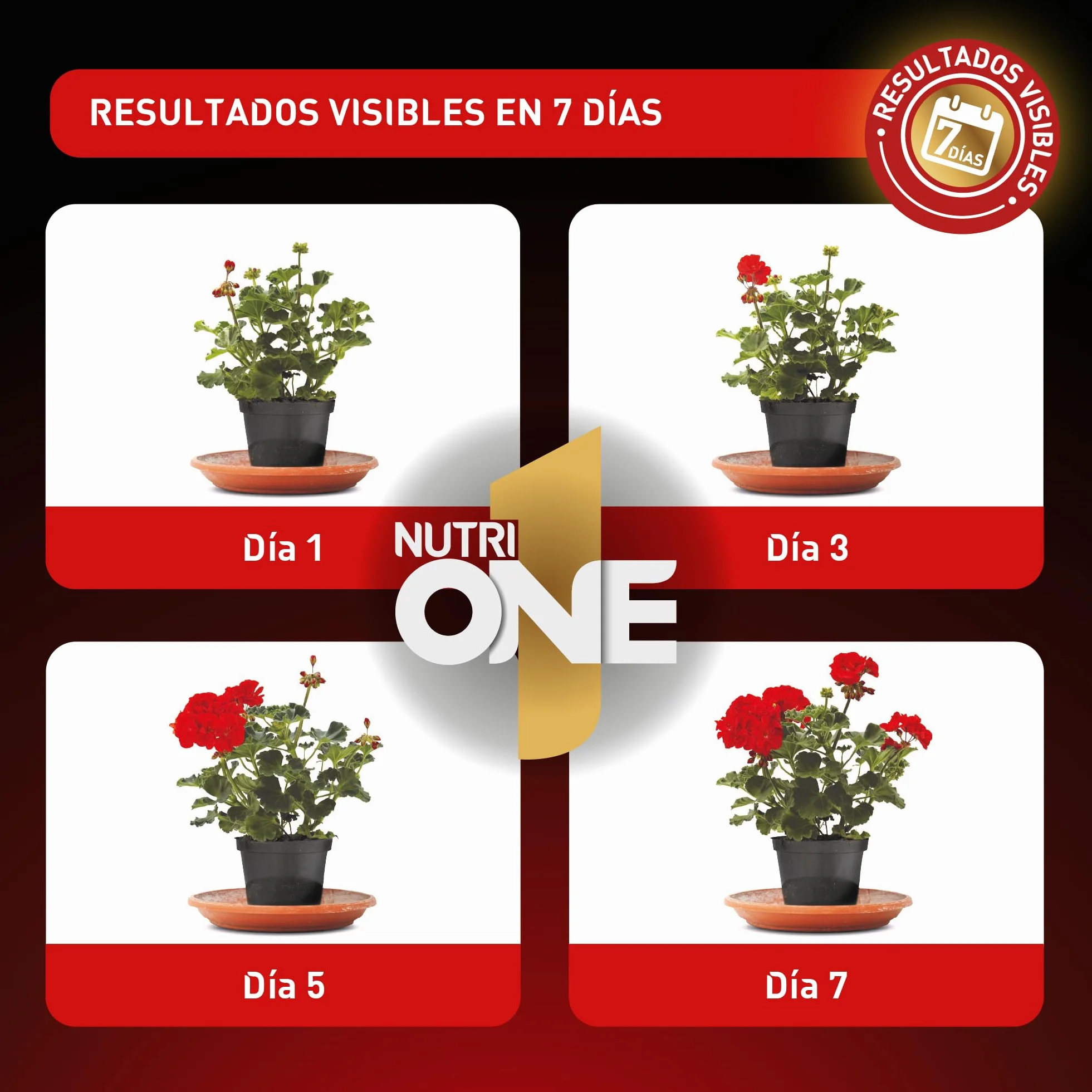 Abono líquido concentrado para Plantas y Flores Fertilizante Premium ingredientes naturales