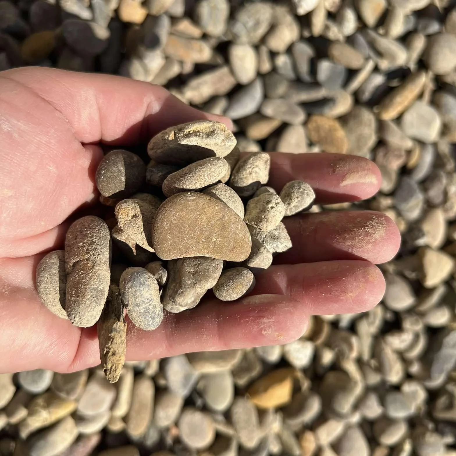 Gravilla Canto Rodado Piedra Natural Saco 20 kg Piedra decorativa 12-20 mm