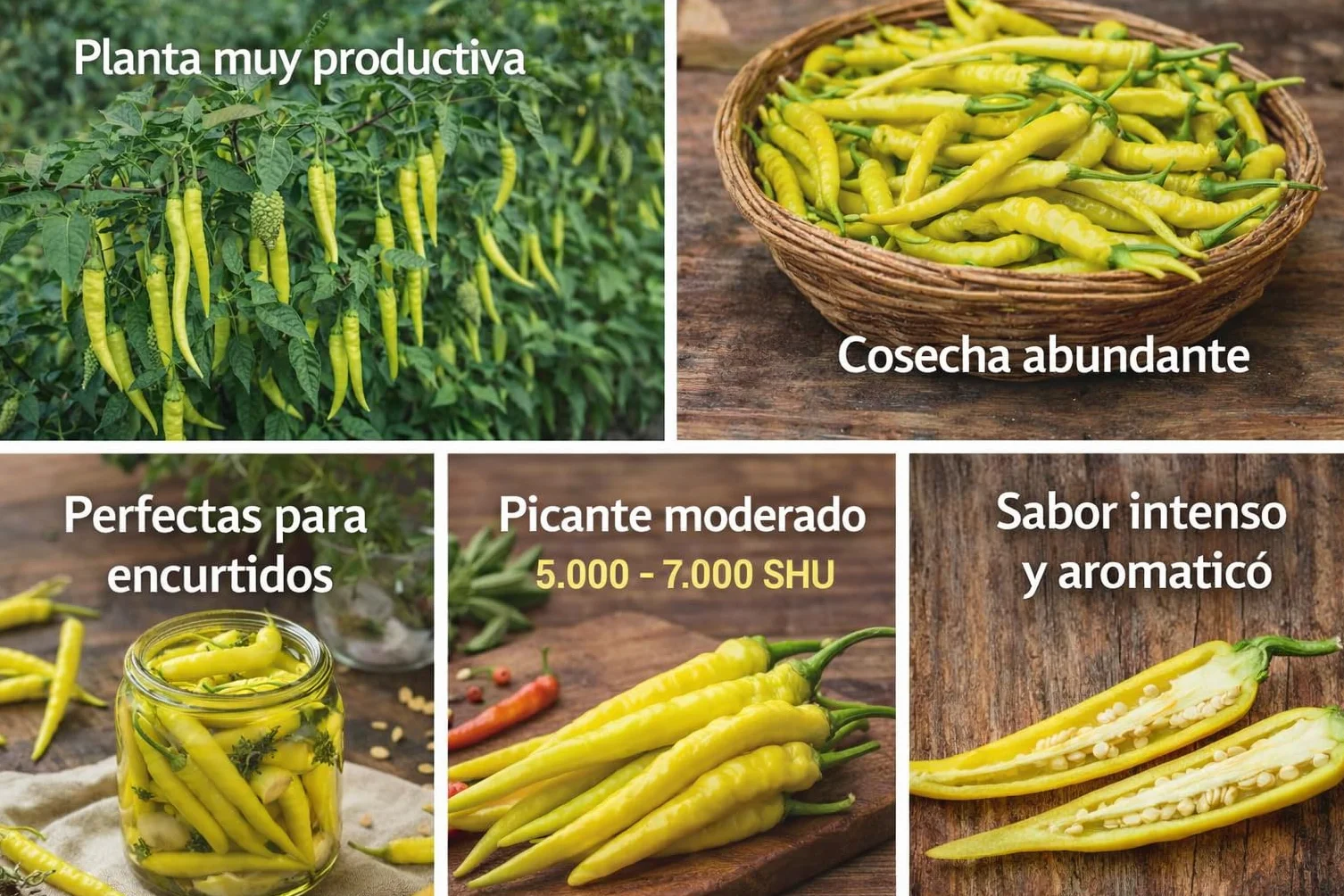 Mascarell Semillas Pimiento Guindilla Amarilla Picante 1g
