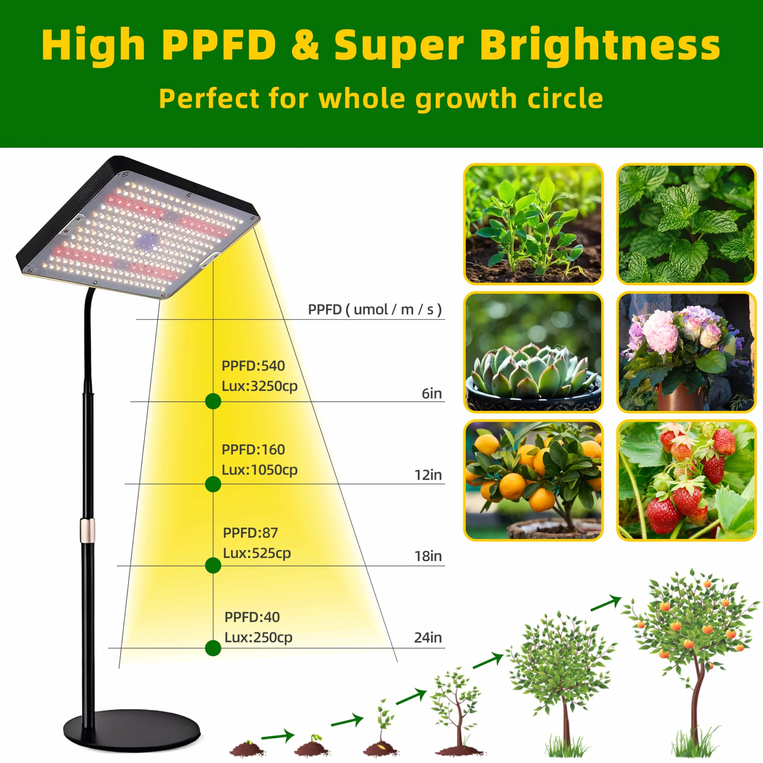 Lámpara LED Cultivo de Espectro Completo, 3 Modos Regulable 10 Niveles, Temporizador 4/8/12H para Plantas Interior