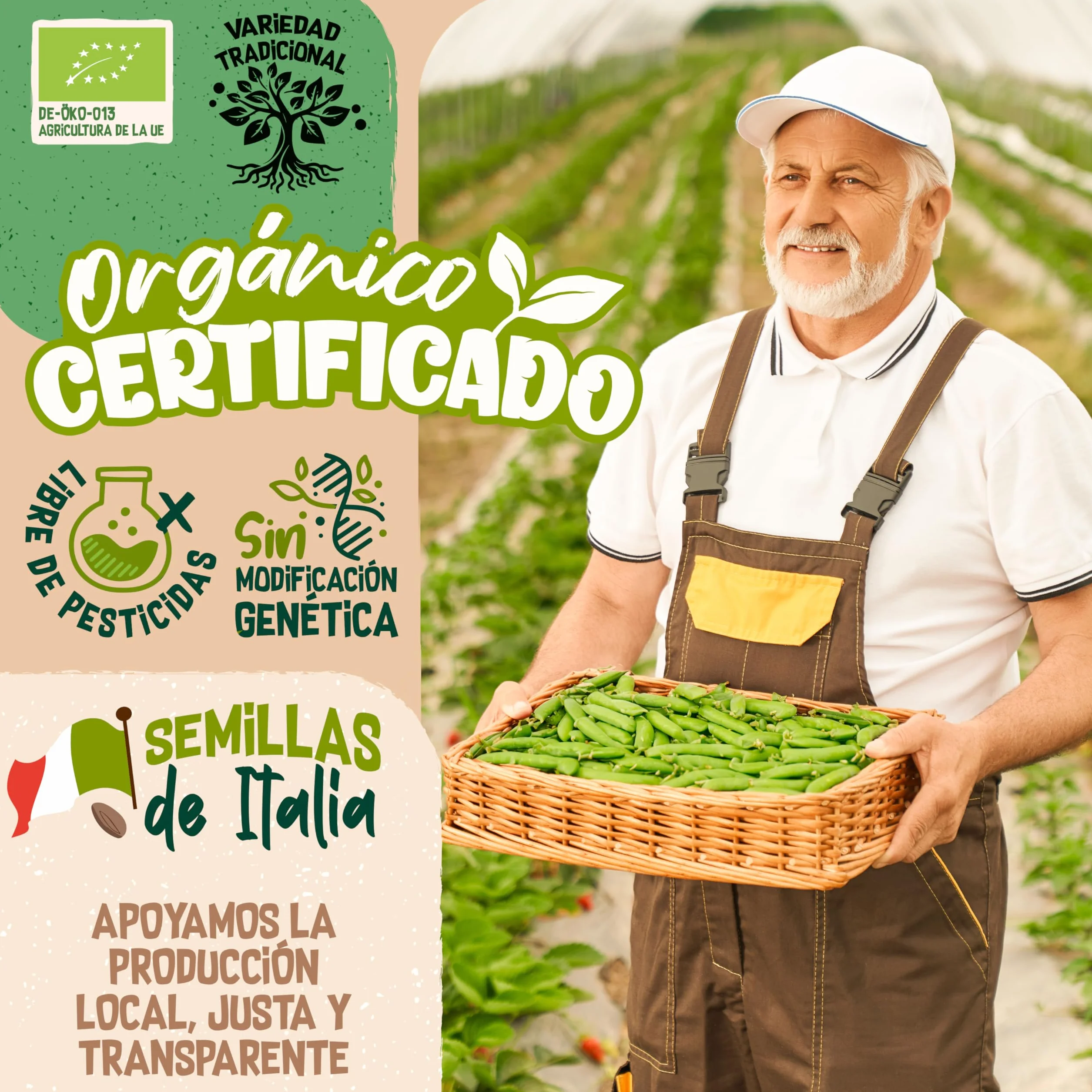 Semillas de brócoli ecológico ZenGreens® - Brotes de cime di rapa - Microgreens - 10g, 200g, 500g