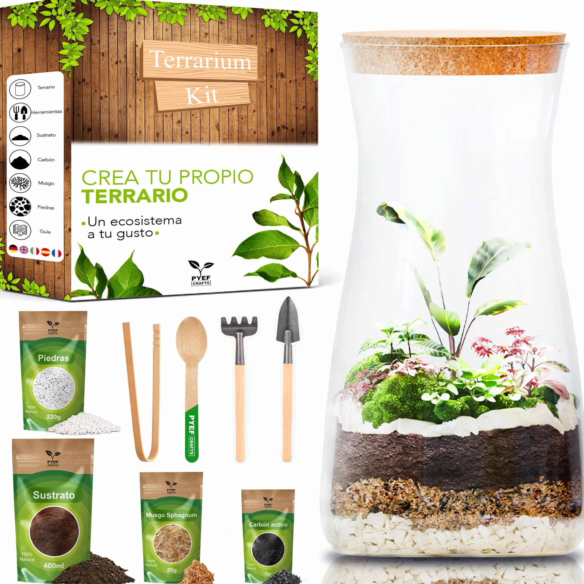 Kit Terrario de Cristal DIY Set Decoración Ecosistema Cerrado Bosque Eterno Interior Frasco Accesorios Hogar Regalo Original