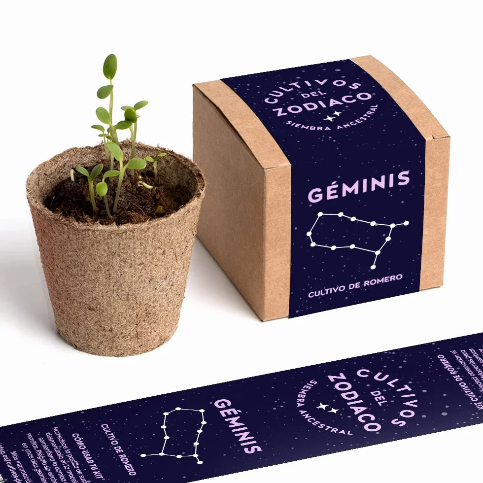 Cultivos del Zodiaco Géminis Semillas de Romero Kit de cultivo con bomba de semillas sustrato y maceta Regalo original horóscopo