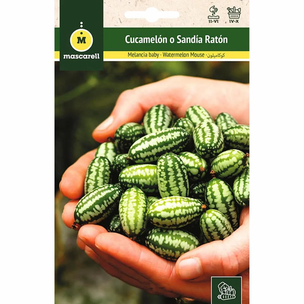 Mascarell Semillas SANDÍA Cucamelon Sandia Raton Semillas Huerto Orgánica 0,05 Gramos