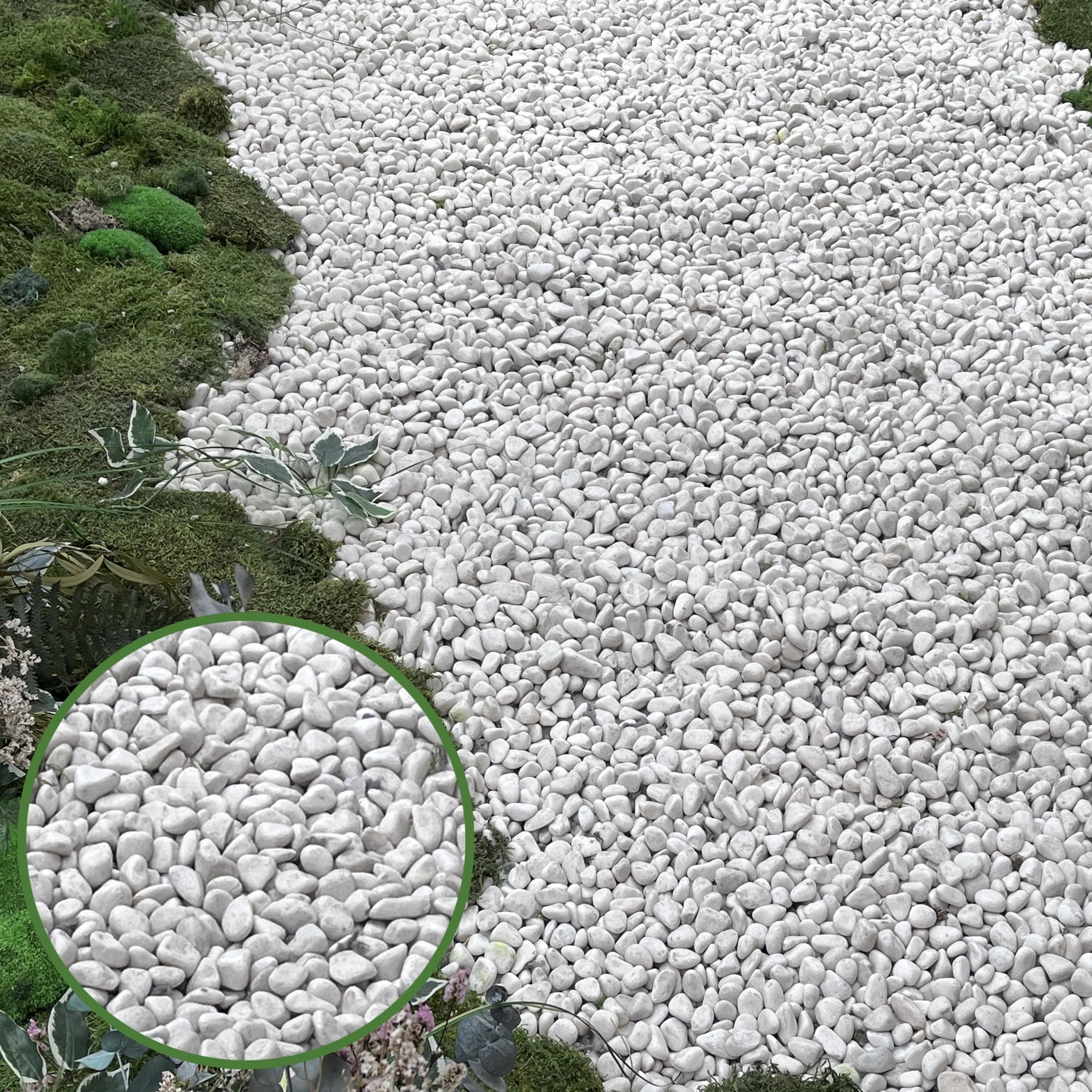 Piedras Decorativas Blancas 12-24mm Saco 20kg Canto Rodado Natural VLC Horticultura