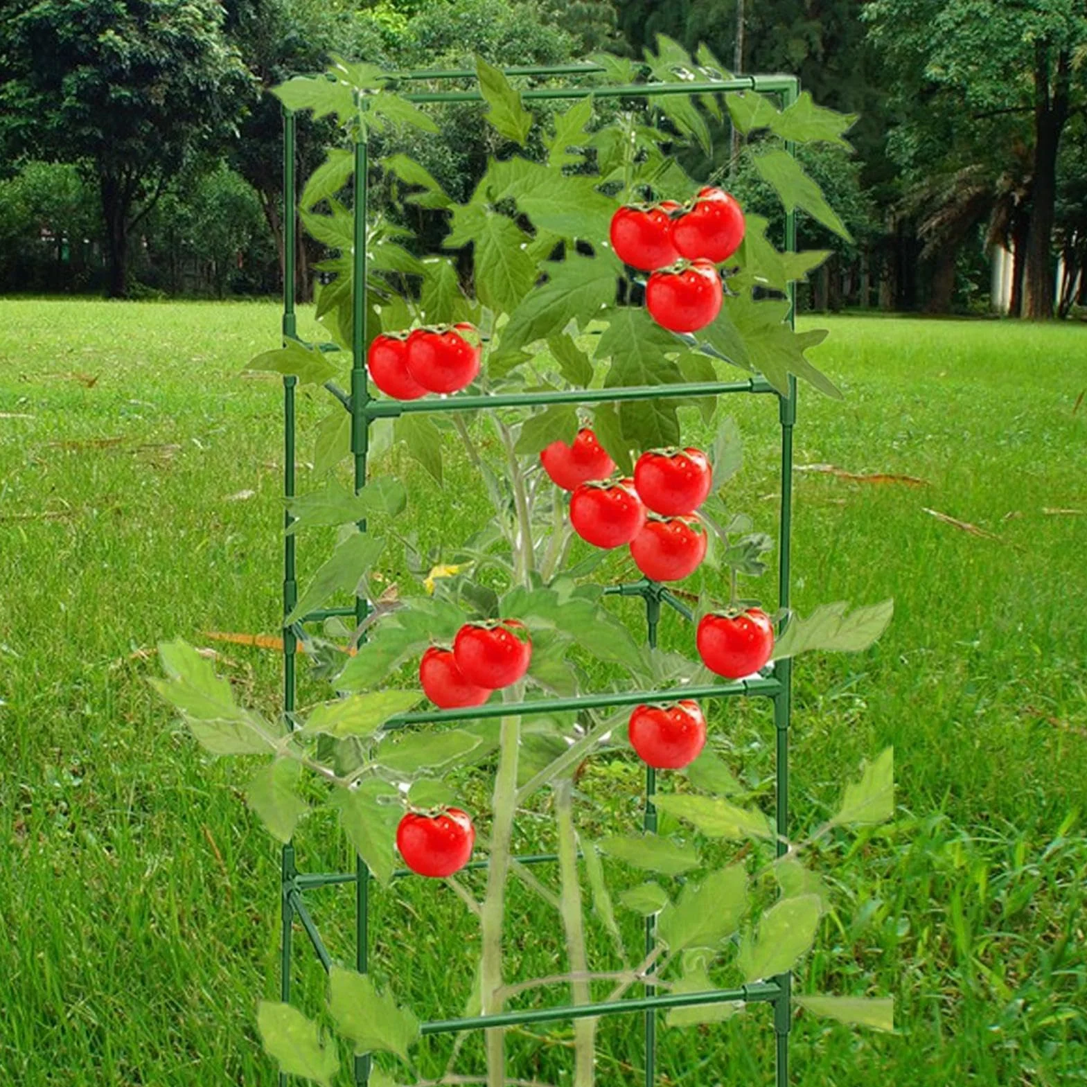 Entutorado para Tomates Soporte Cuadrado Ajustable en Altura de 3 Piezas | Tutor de Plantas Resistente para Judías Pepinos Verduras Rosas Peonías Macetas Bancal Elevado Jardín Patio Césped