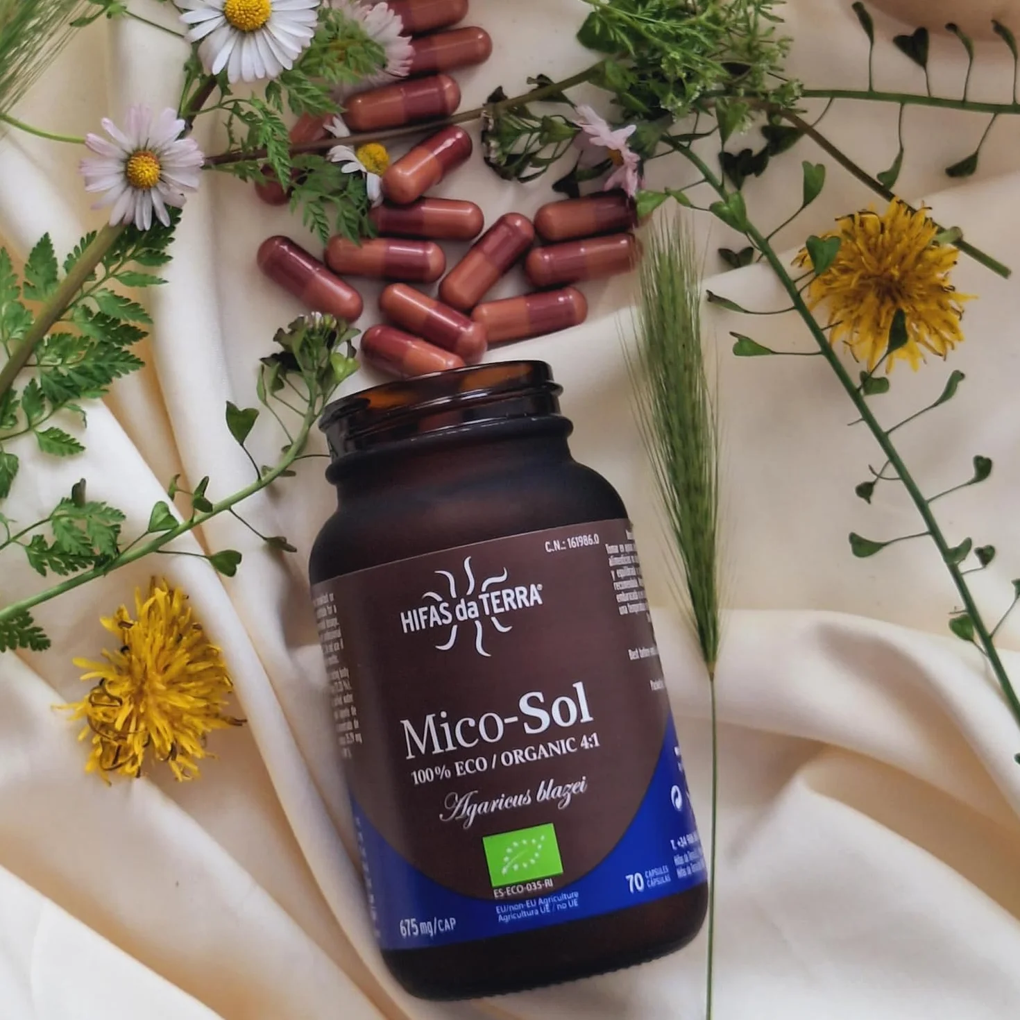 HIFAS DA TERRA Mico-Sol Extracto Puro de Champiñón de Sol + Vitamina C natural - 70 Cápsulas
