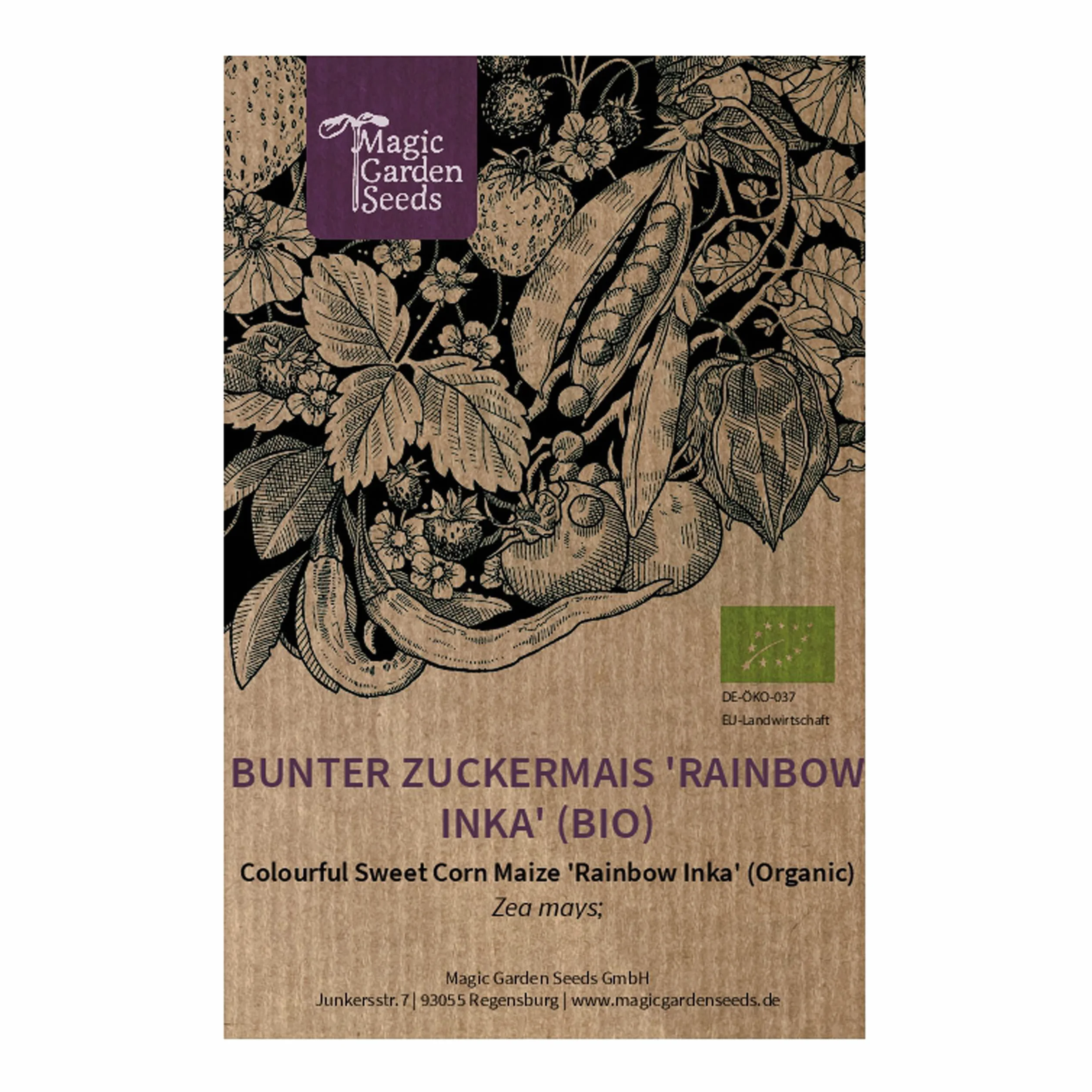 Maíz dulce multicolor Rainbow Inka Zea mays Orgánico 20 semillas