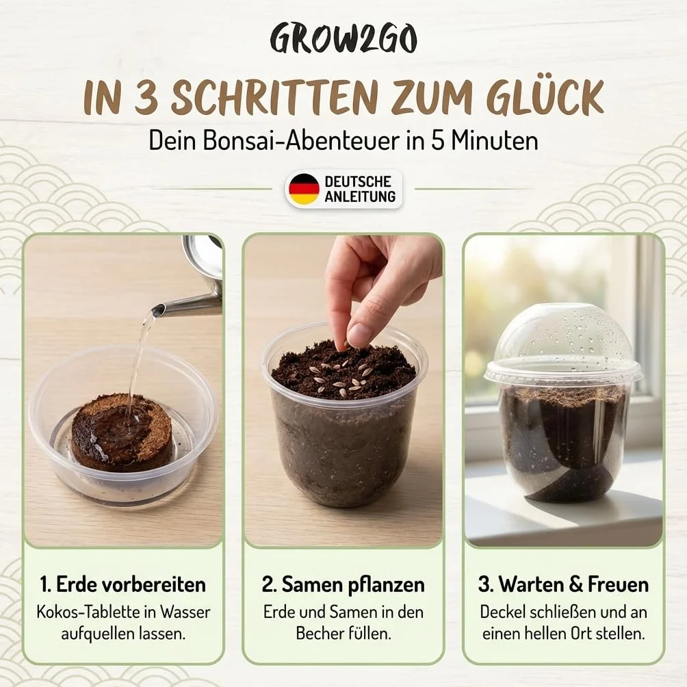 GROW2GO Bonsai Kit Set con Mini Invernadero, Semillas y Tierra - Pino Australiano