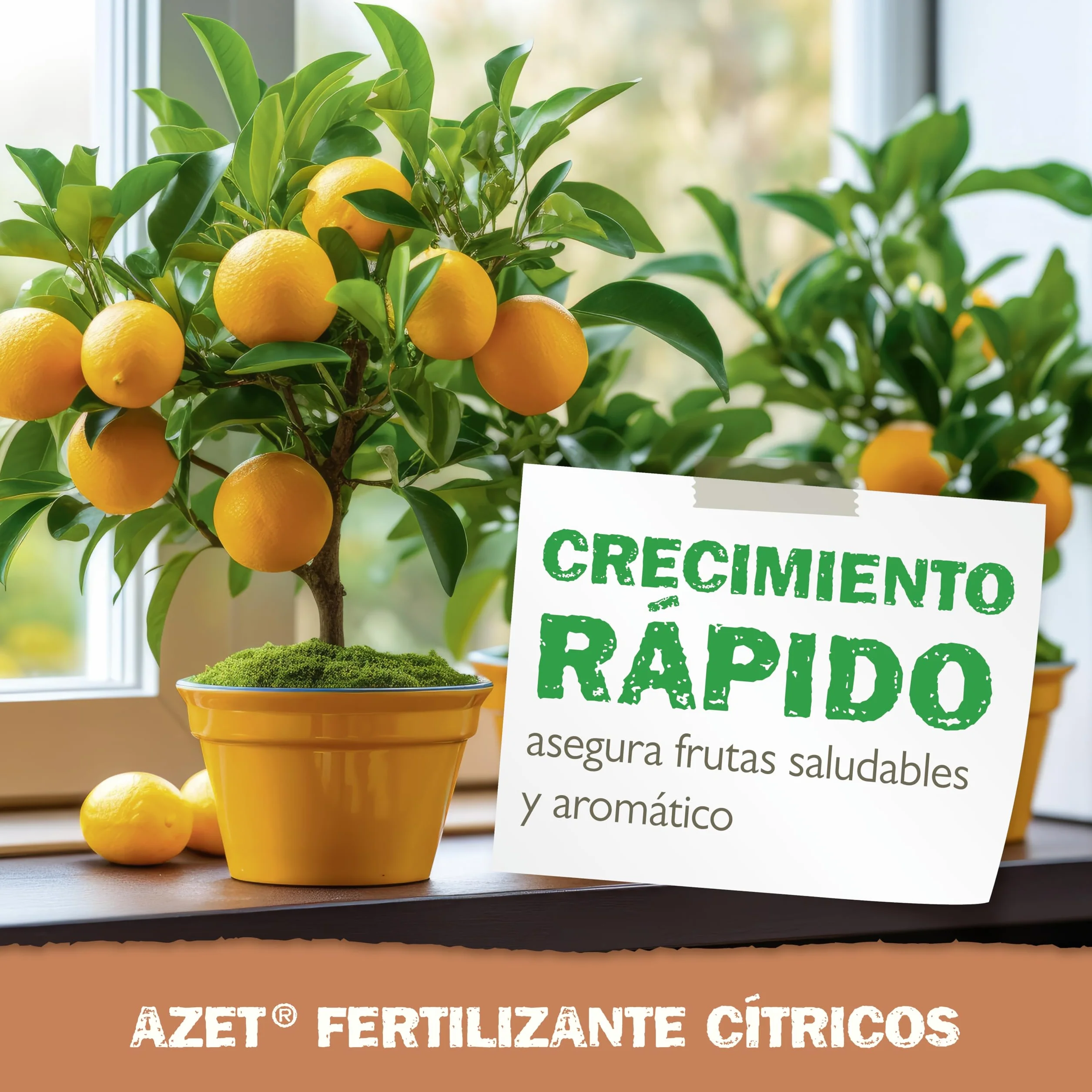Neudorff Azet Fertilizante Cítricos 1 kg – Fertilizante orgánico de liberación lenta con micorrizas