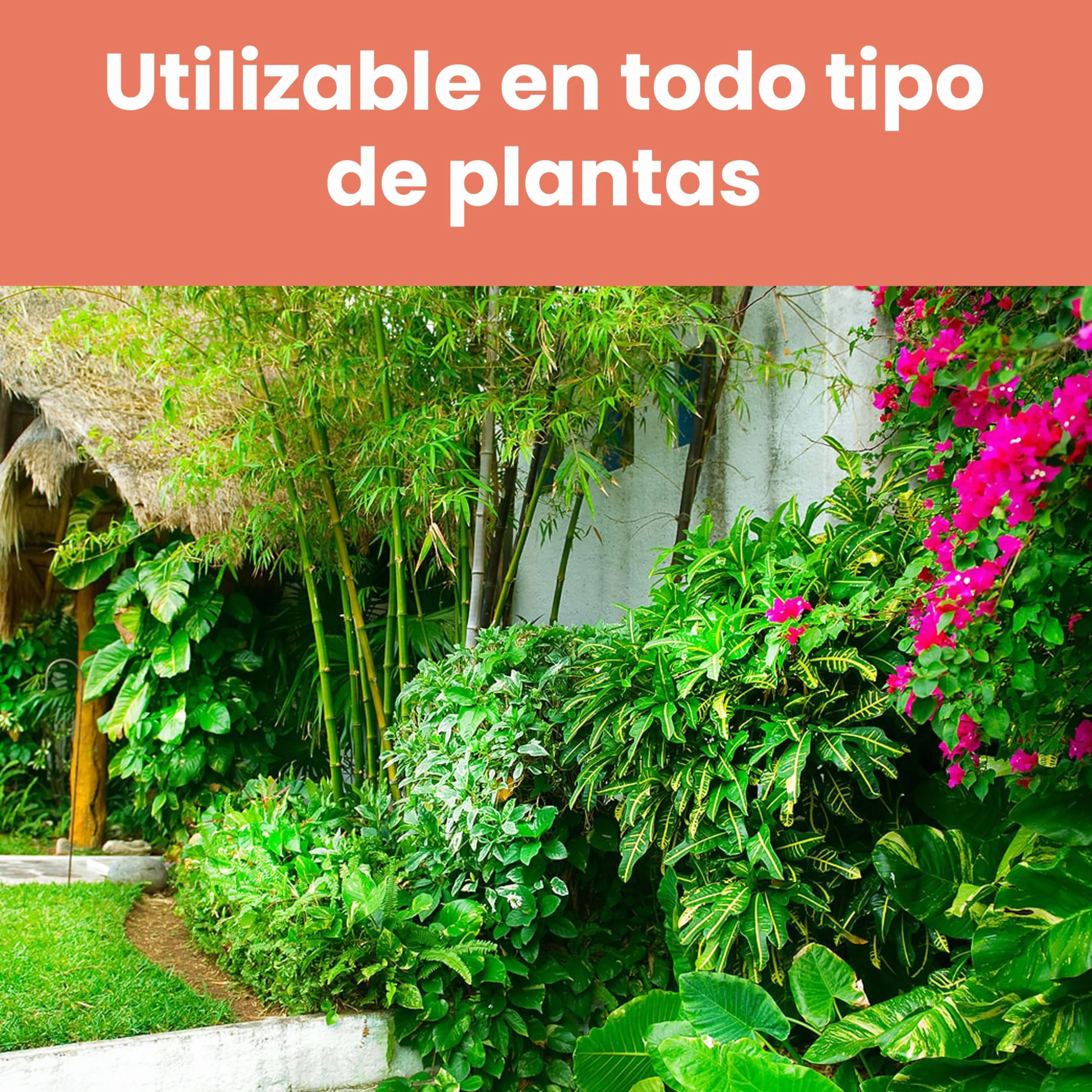 LERAVA Quelato de Hierro 200 g - Verdeante Soluble en Agua - Corrige Amarilleo - Mejora el Verde Natural - Apoya la Fotosíntesis - Ideal para Plantas y Cítricos